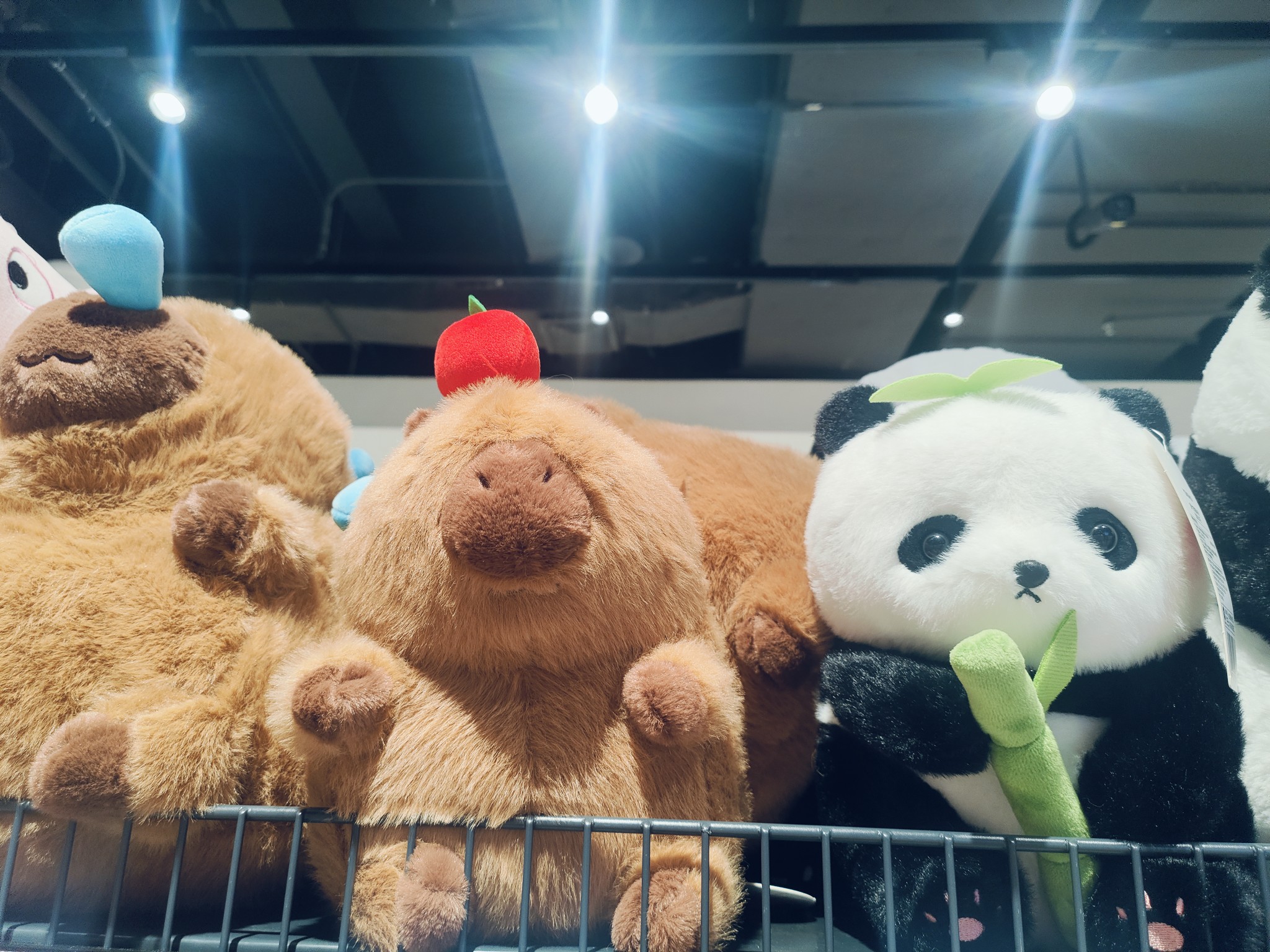 图片附件