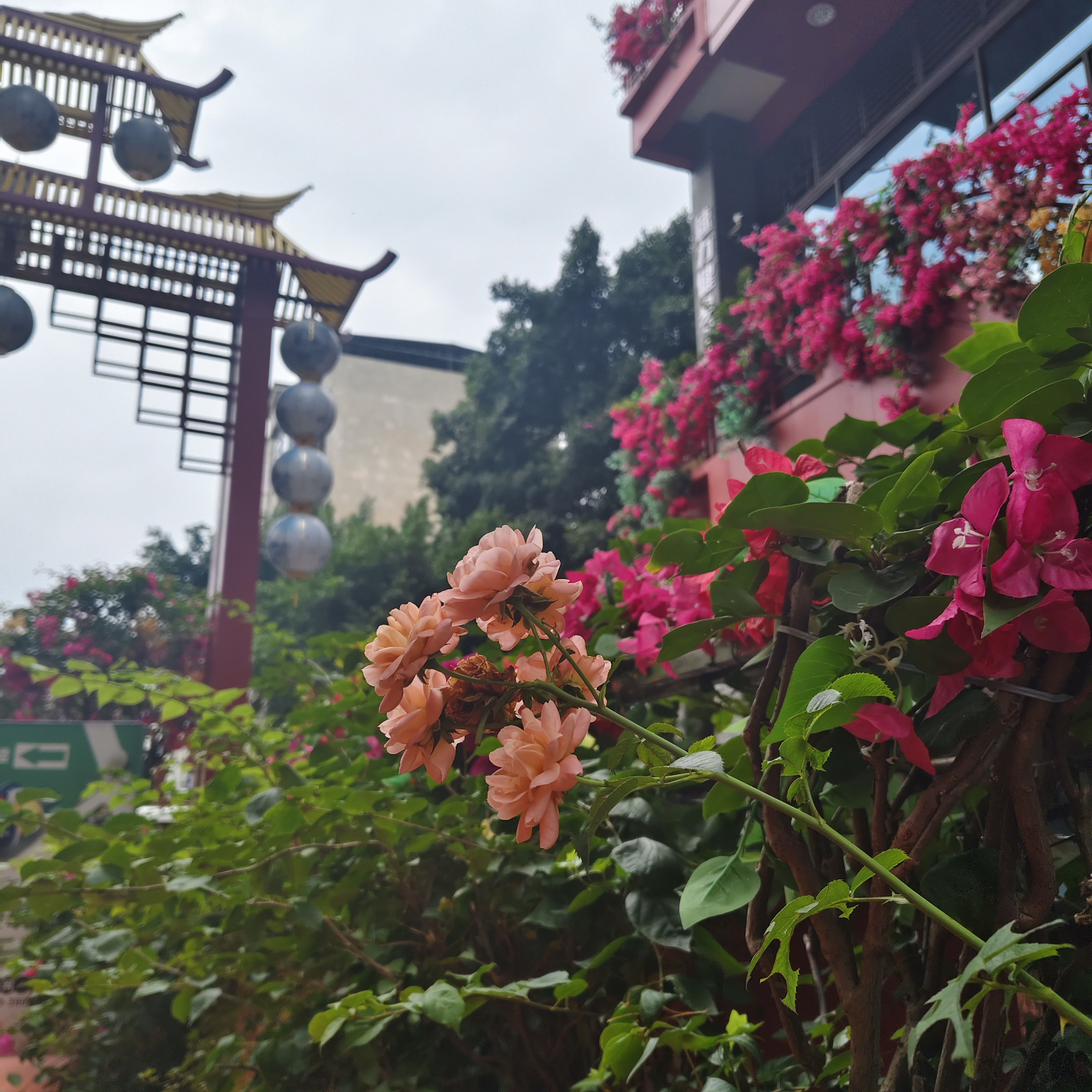 图片附件