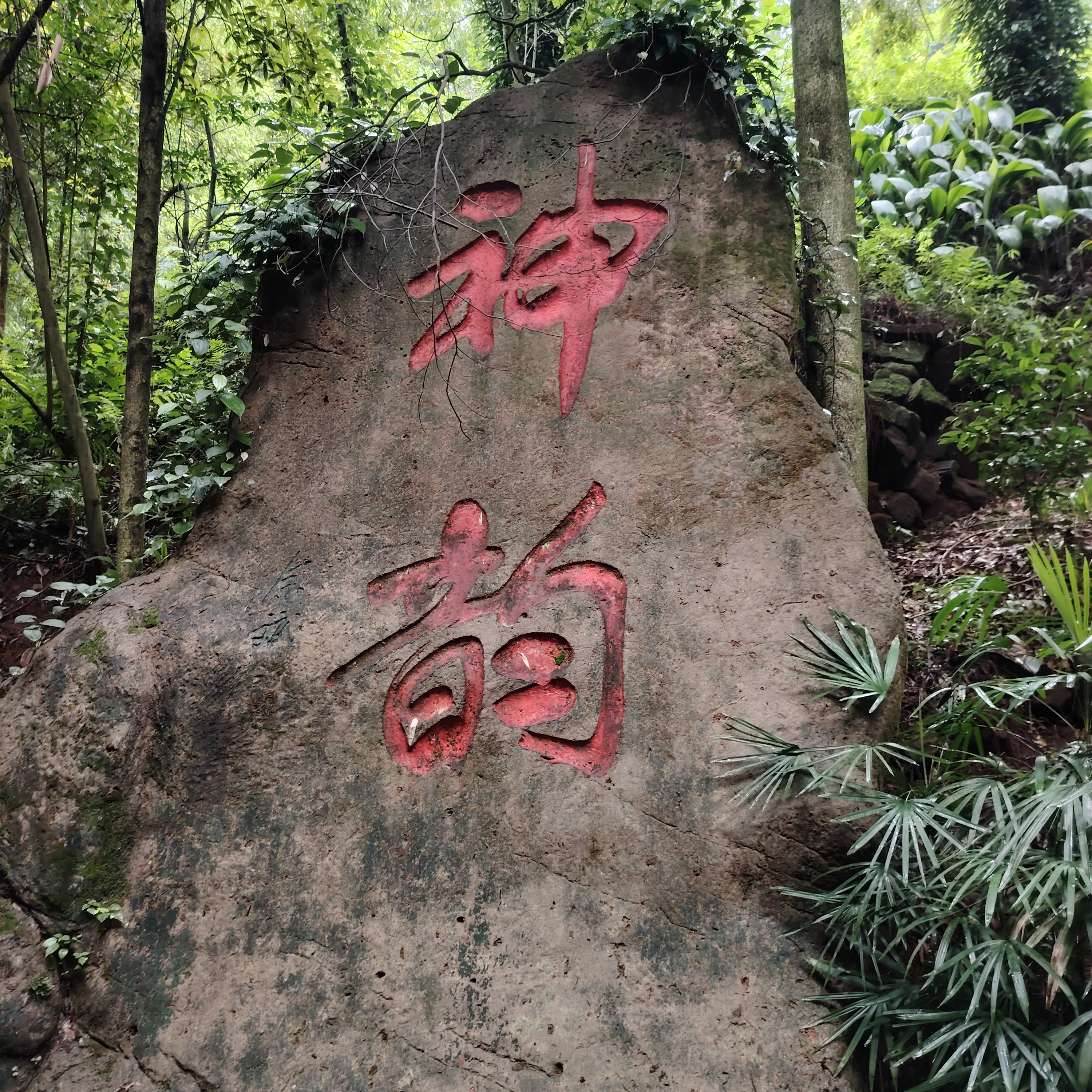图片附件