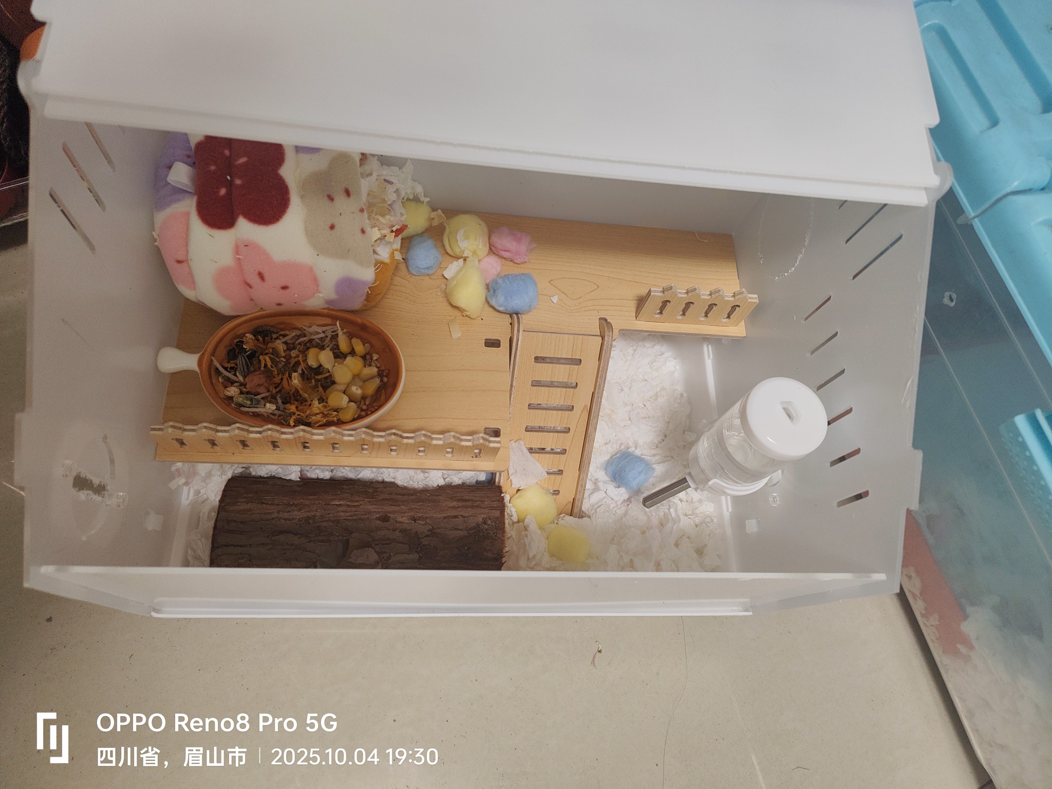 图片附件