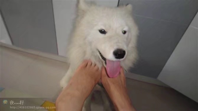 图片附件