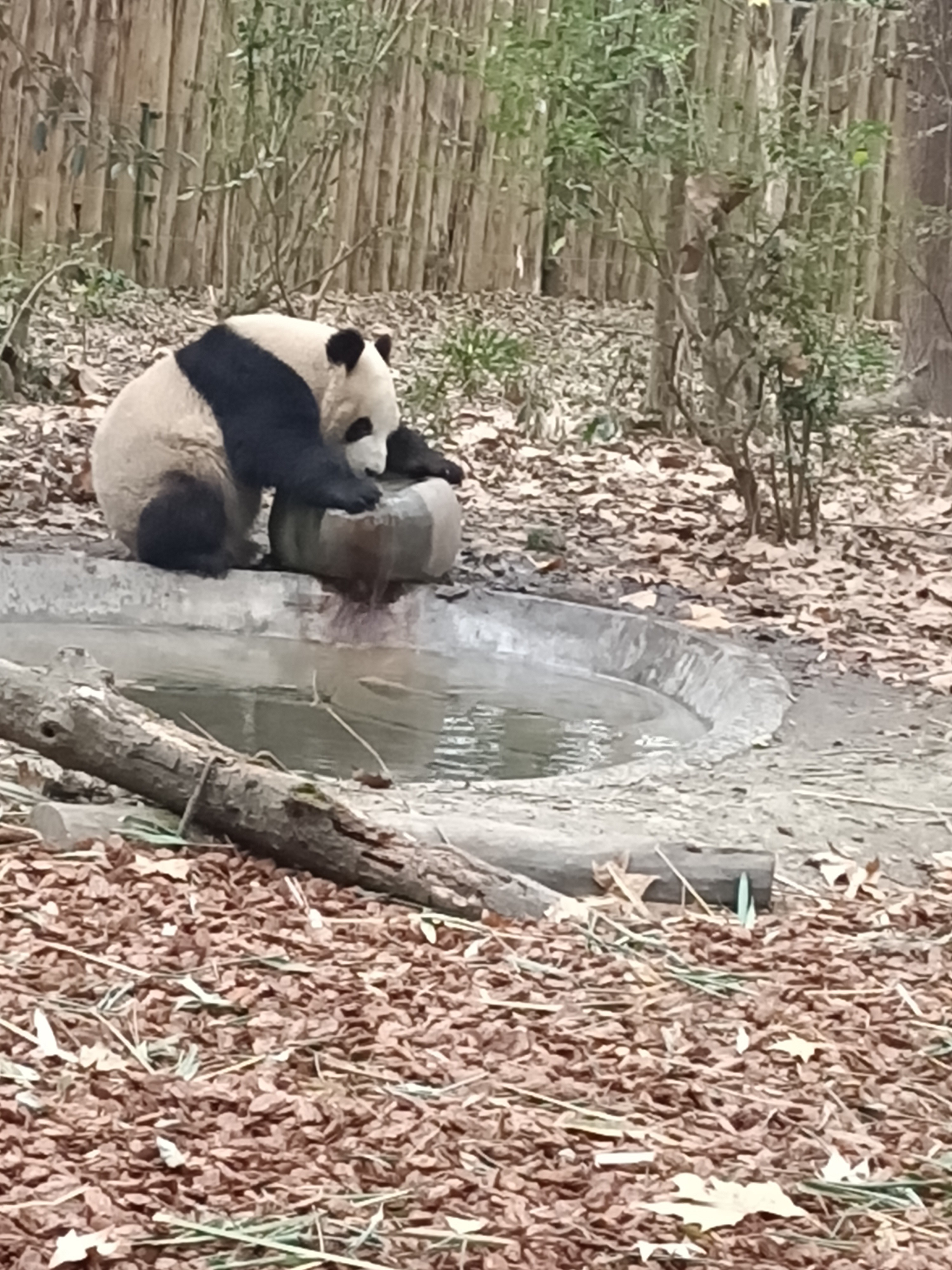 图片附件
