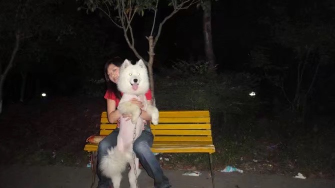 图片附件