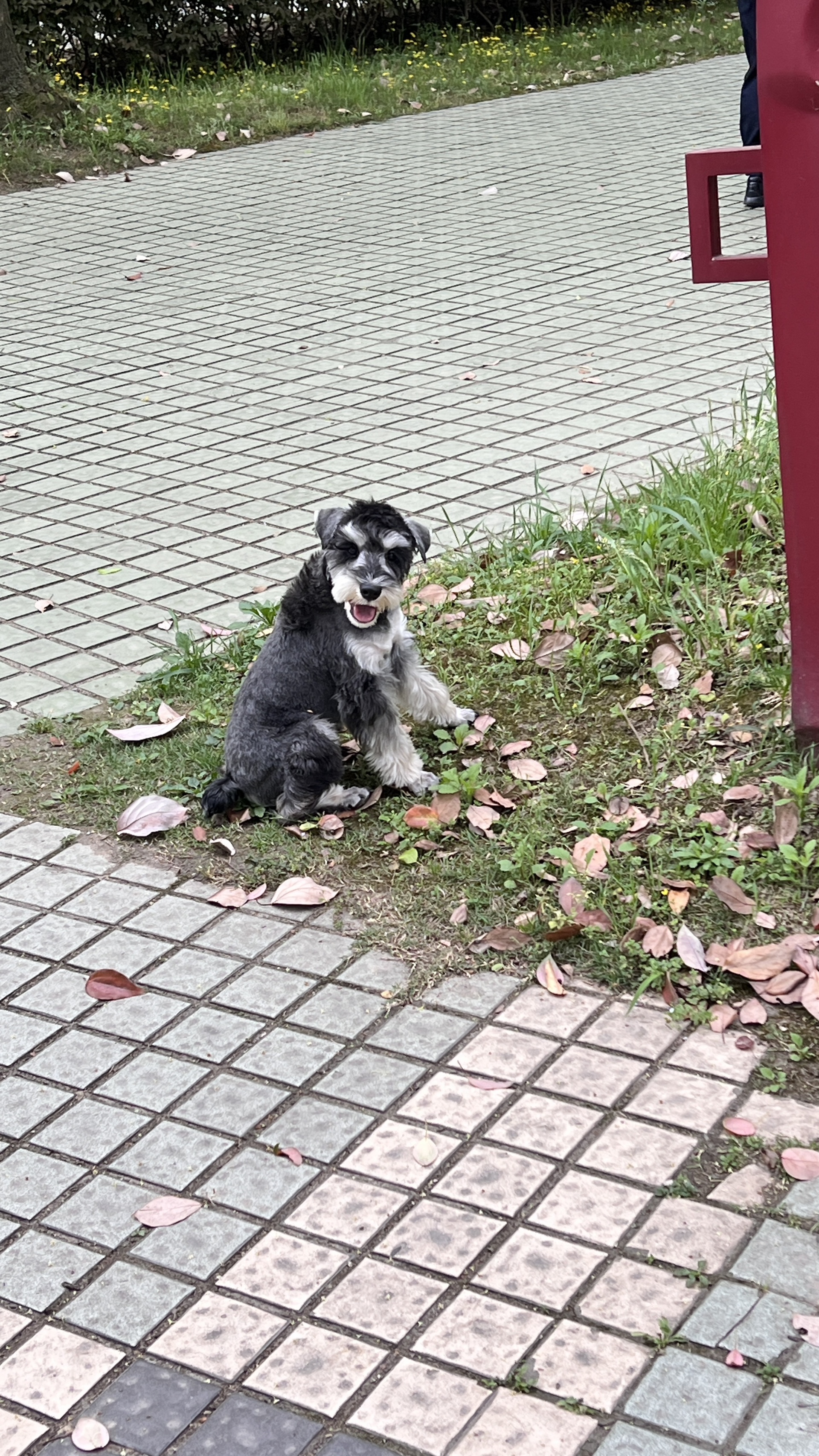 图片附件