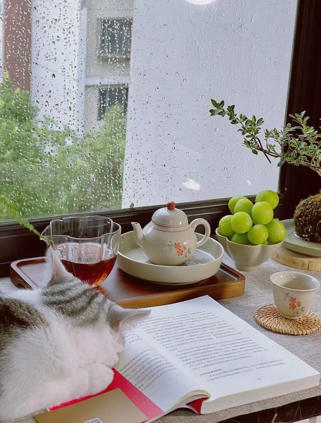 图片附件