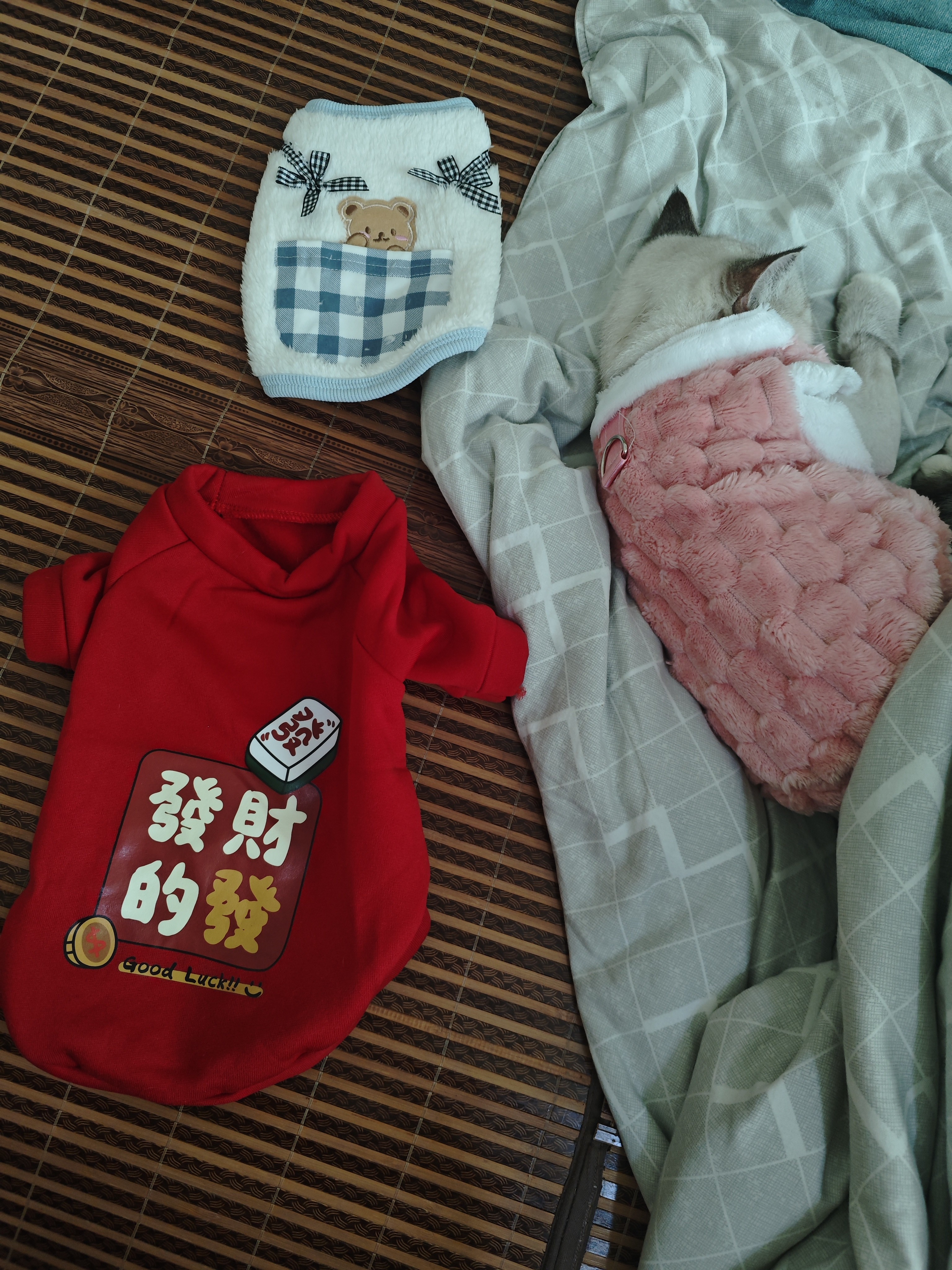 图片附件