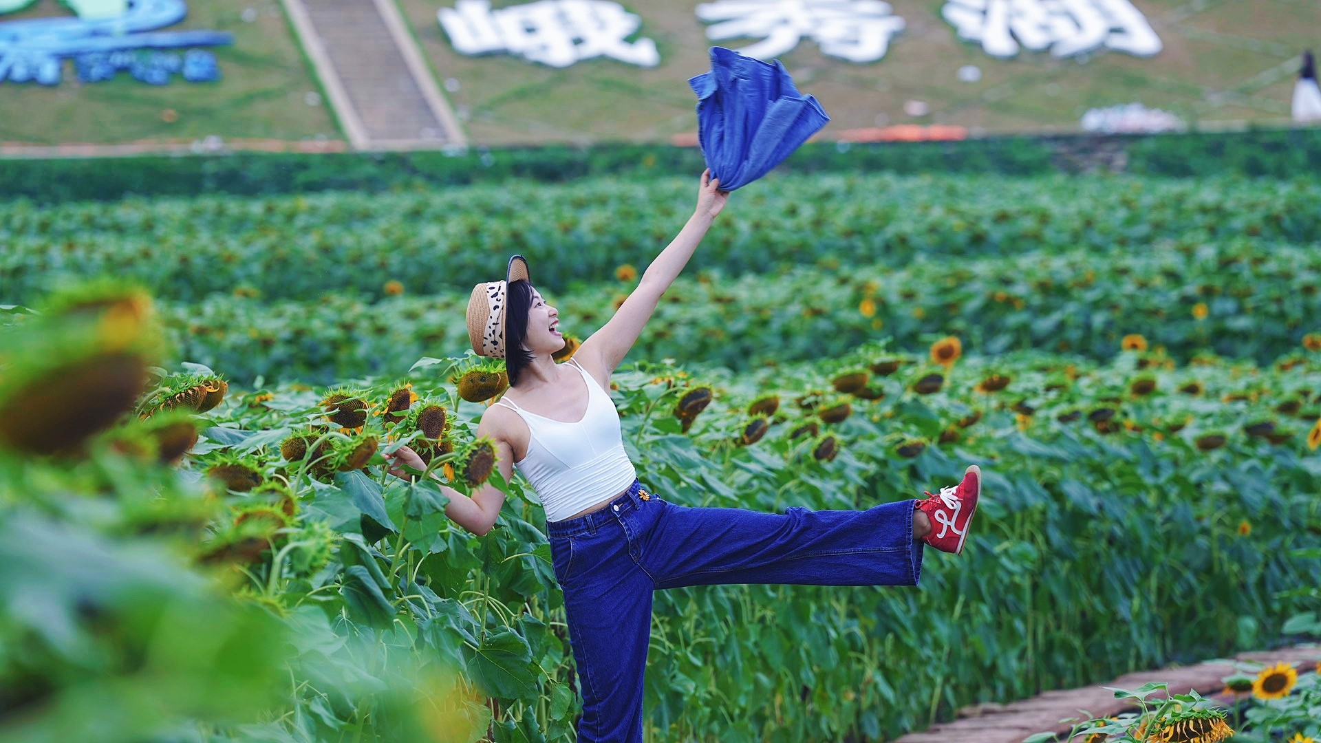 图片附件