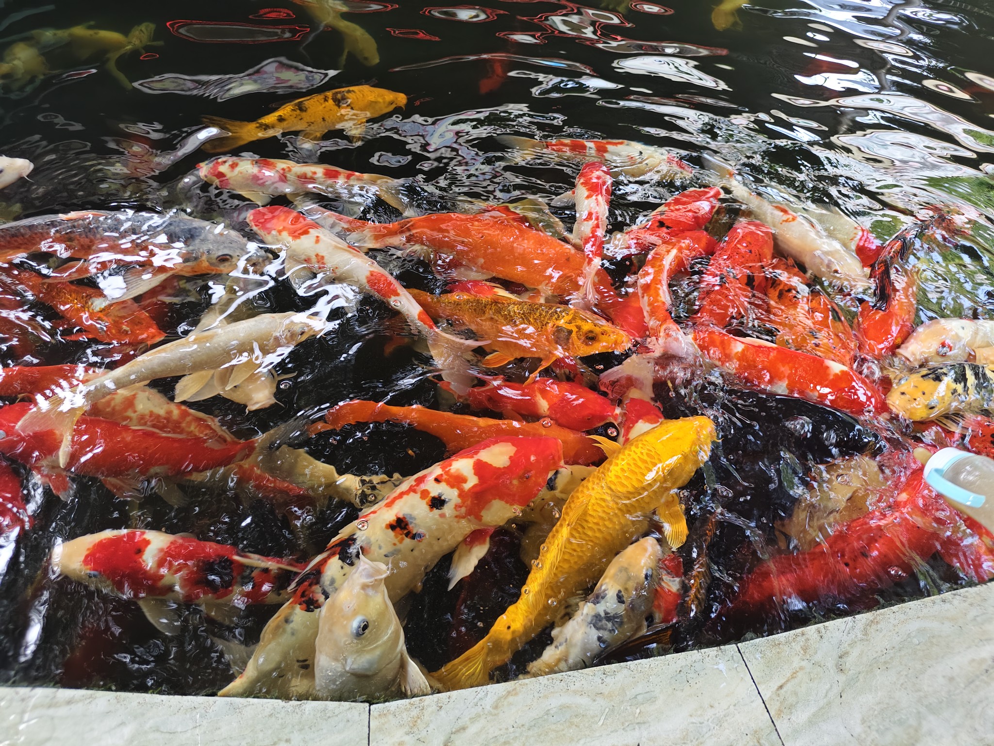 图片附件