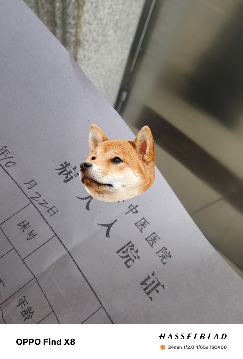 图片附件