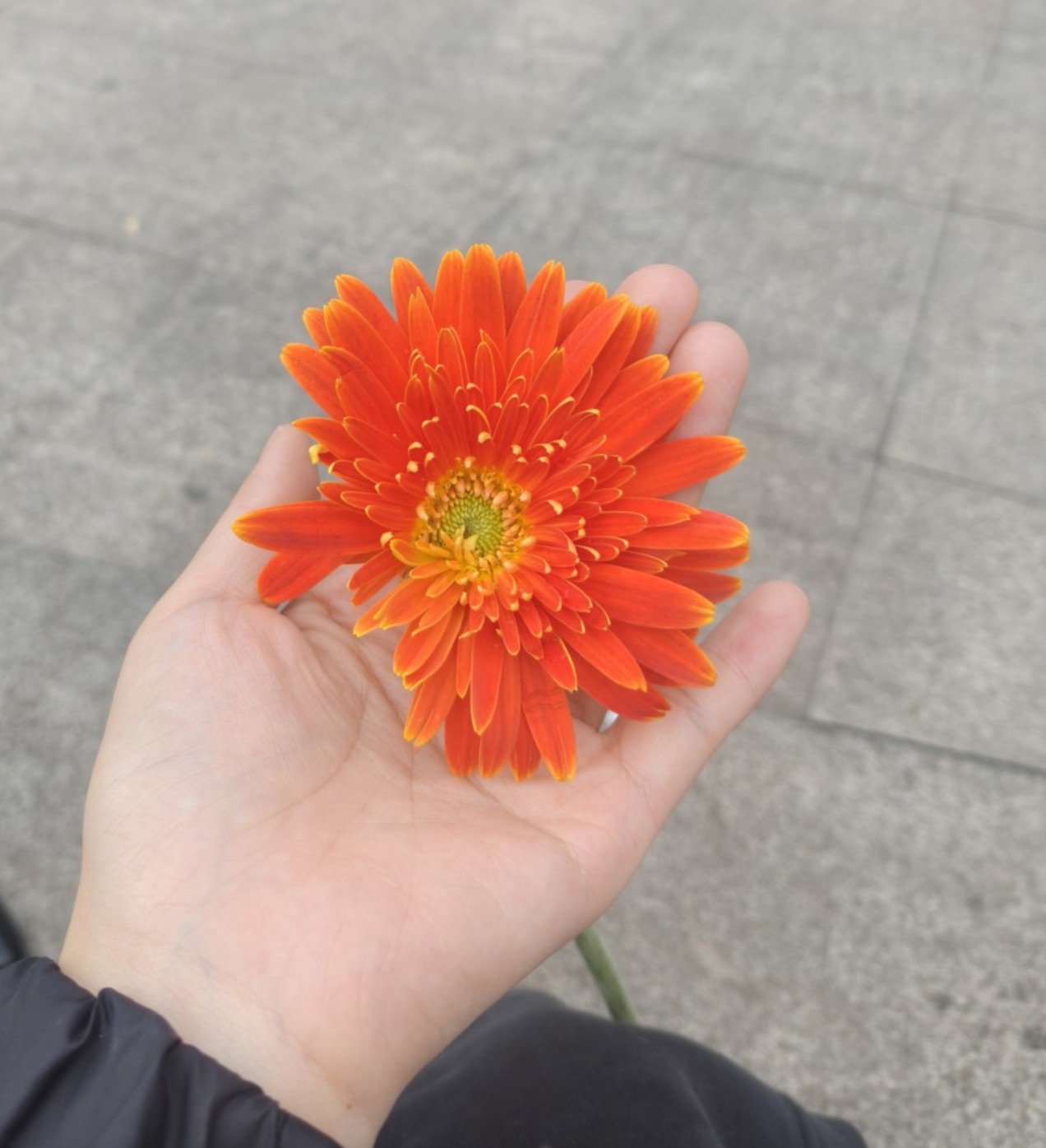 图片附件
