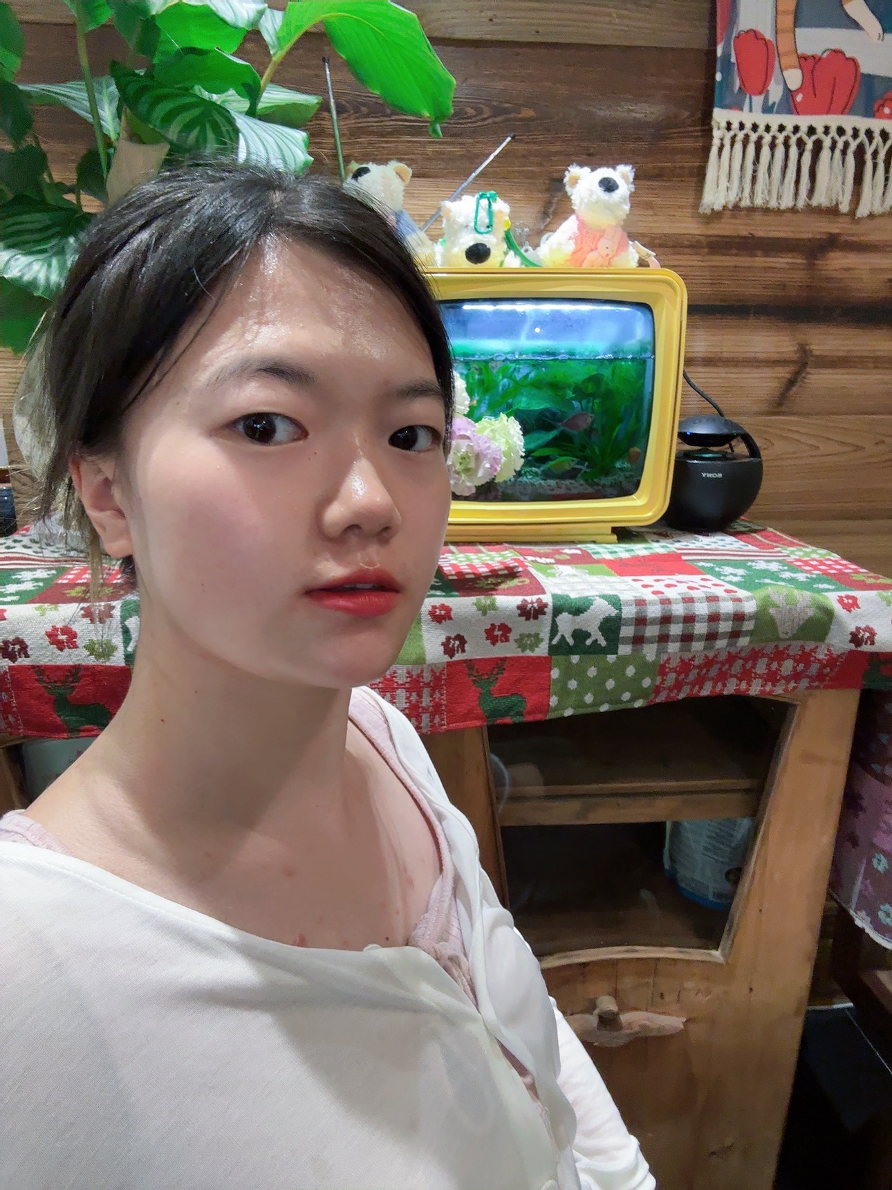 图片附件