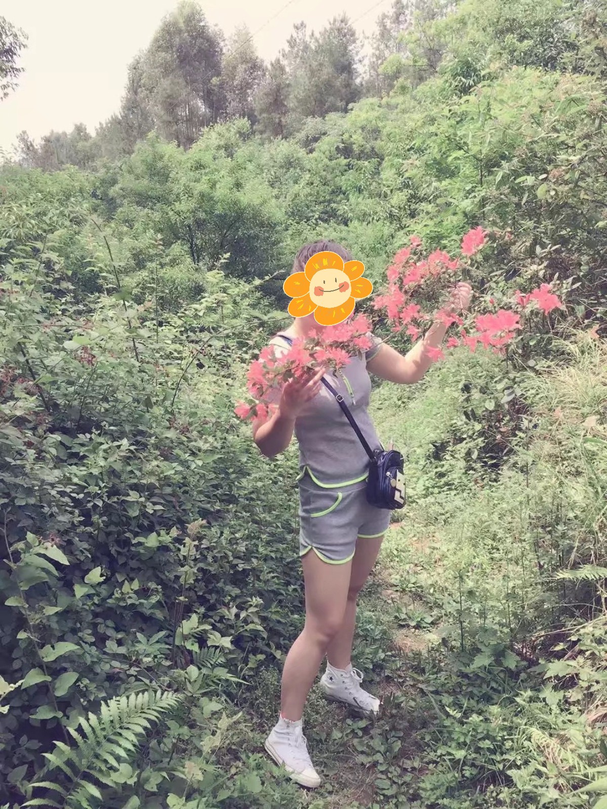 图片附件