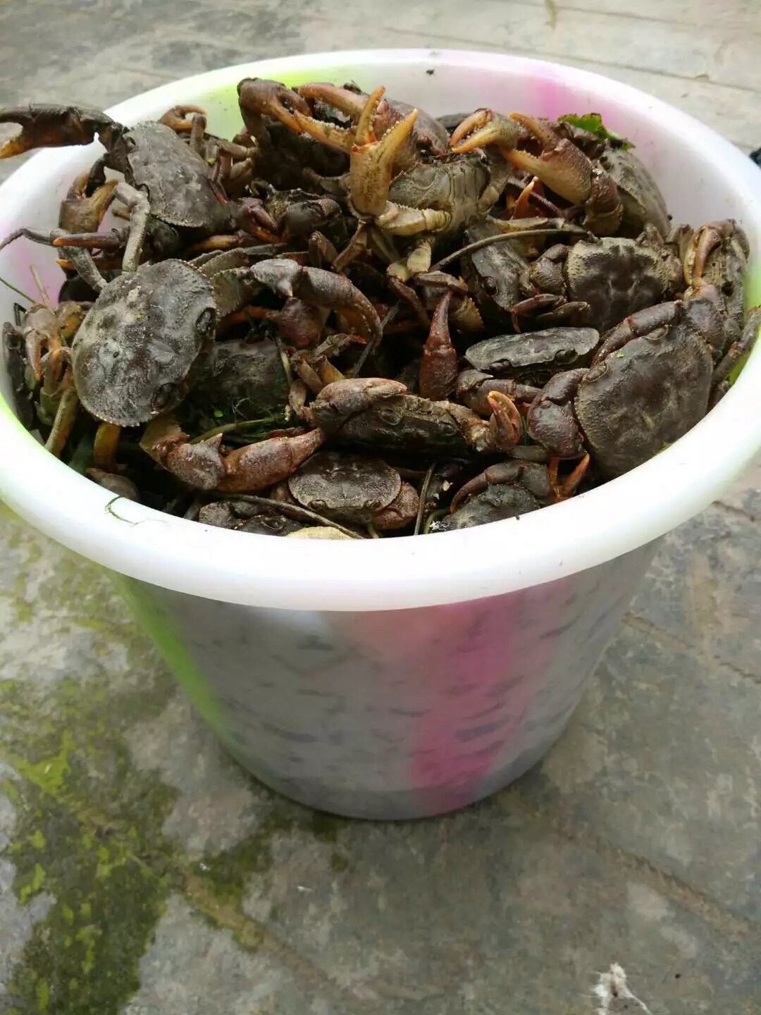 图片附件