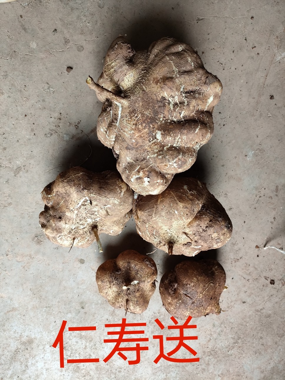 图片附件