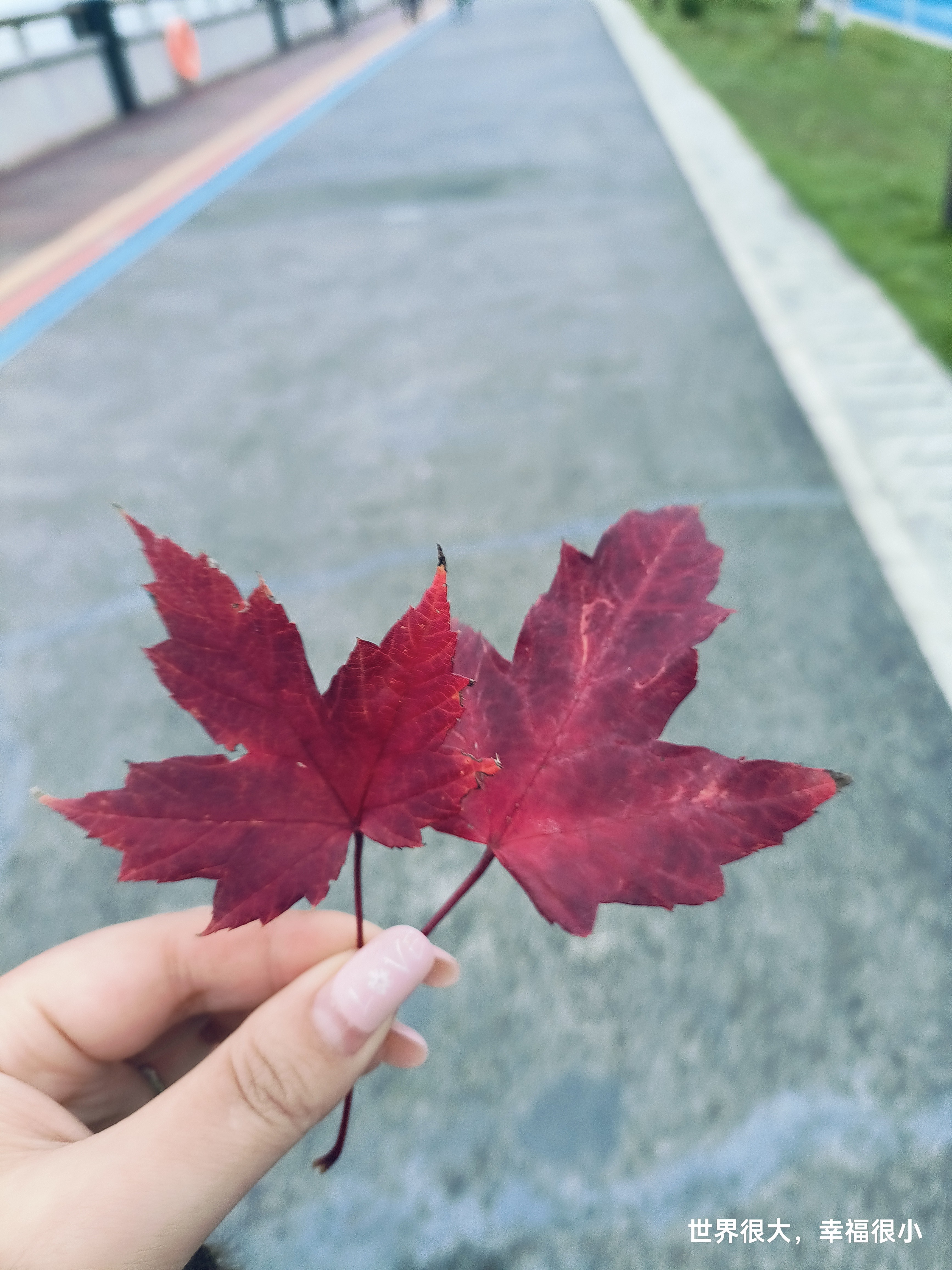 图片附件