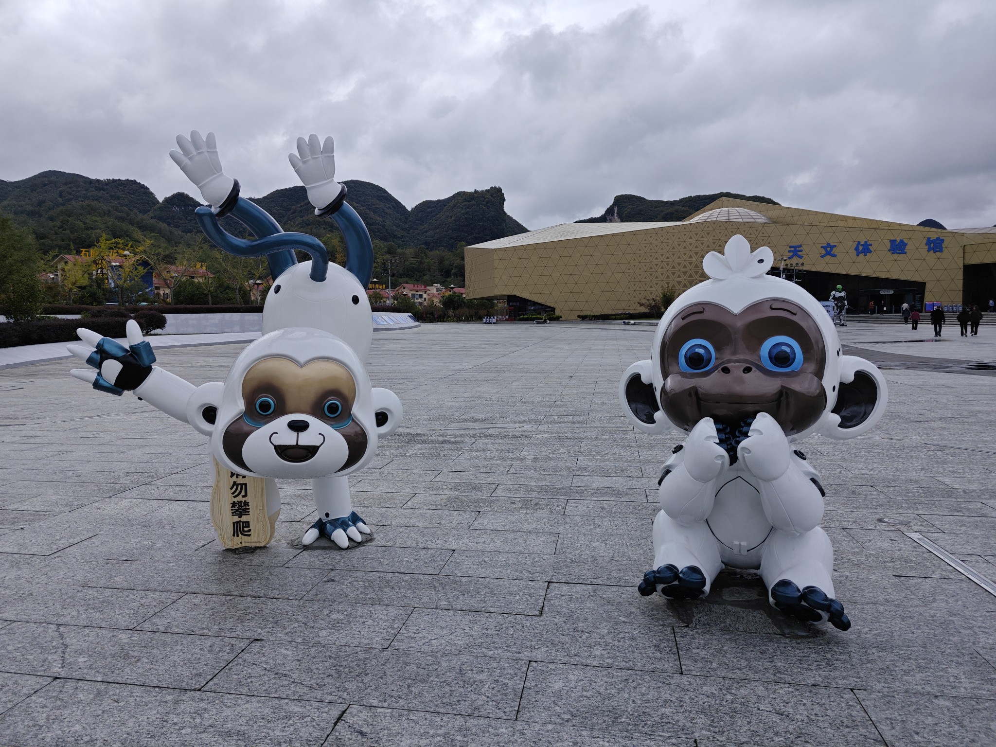 图片附件