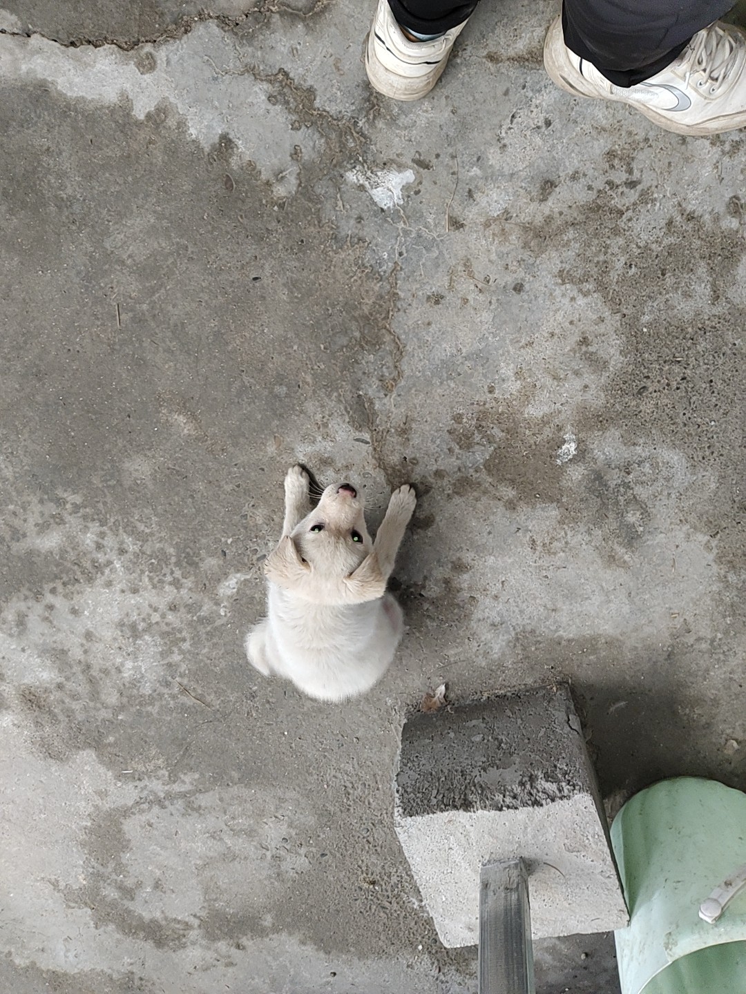图片附件