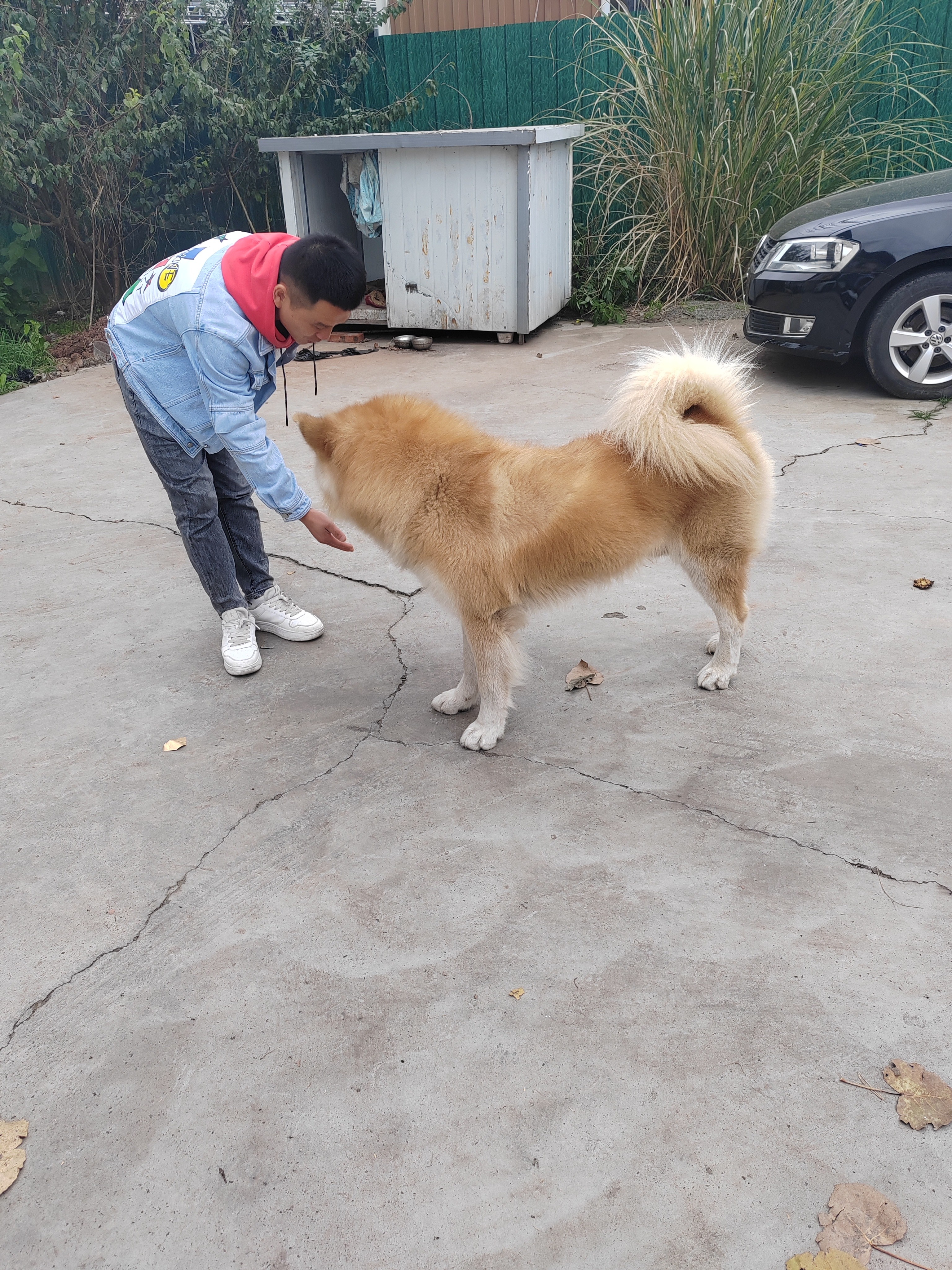 图片附件