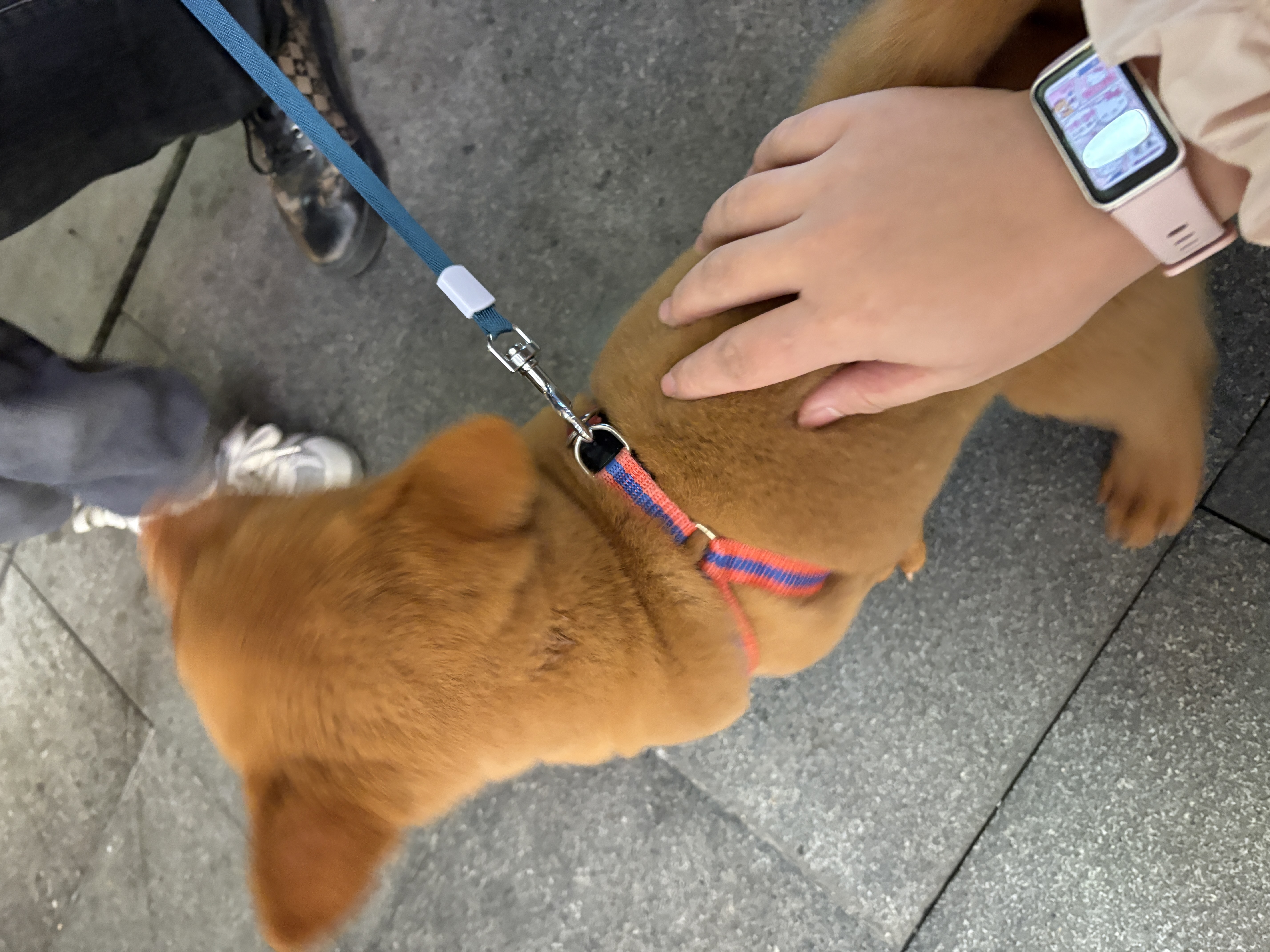 图片附件