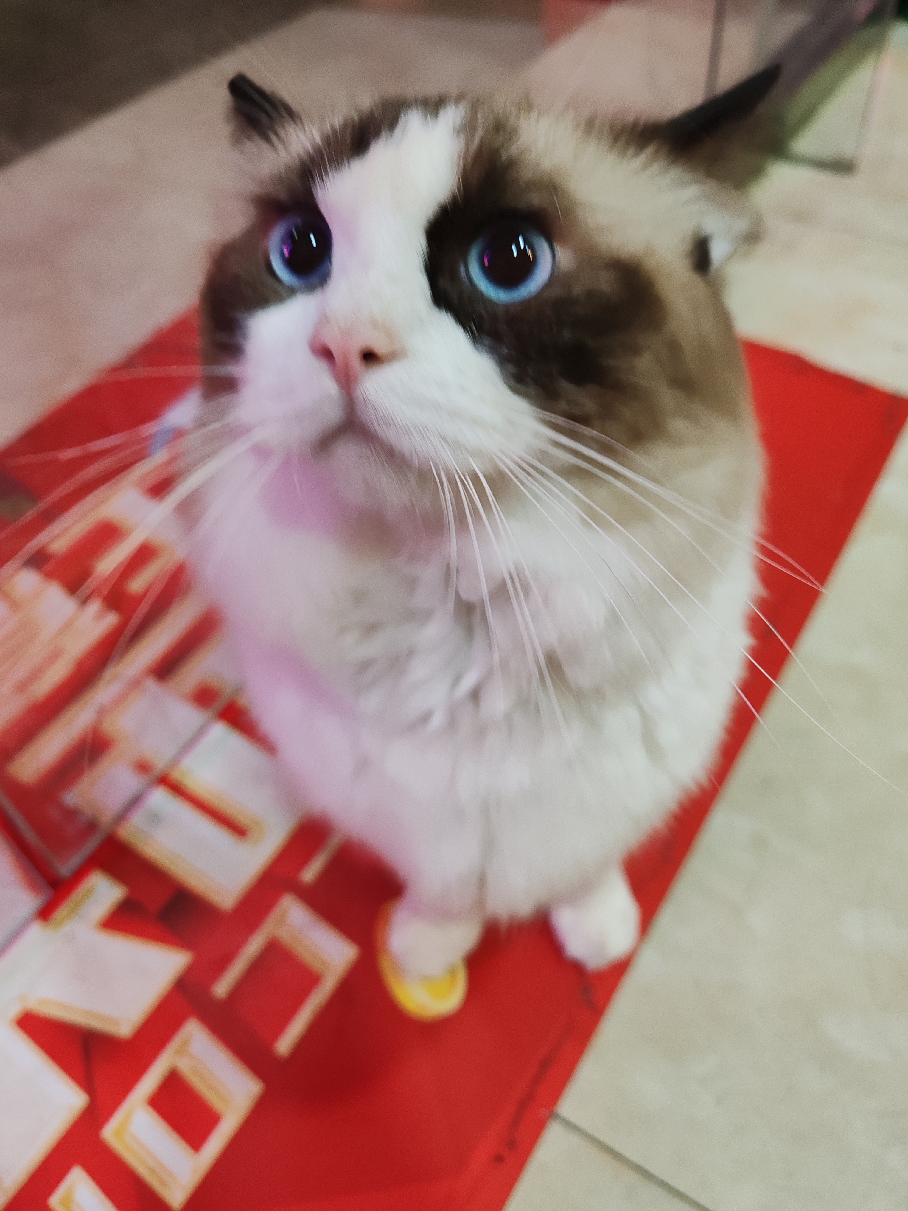 图片附件