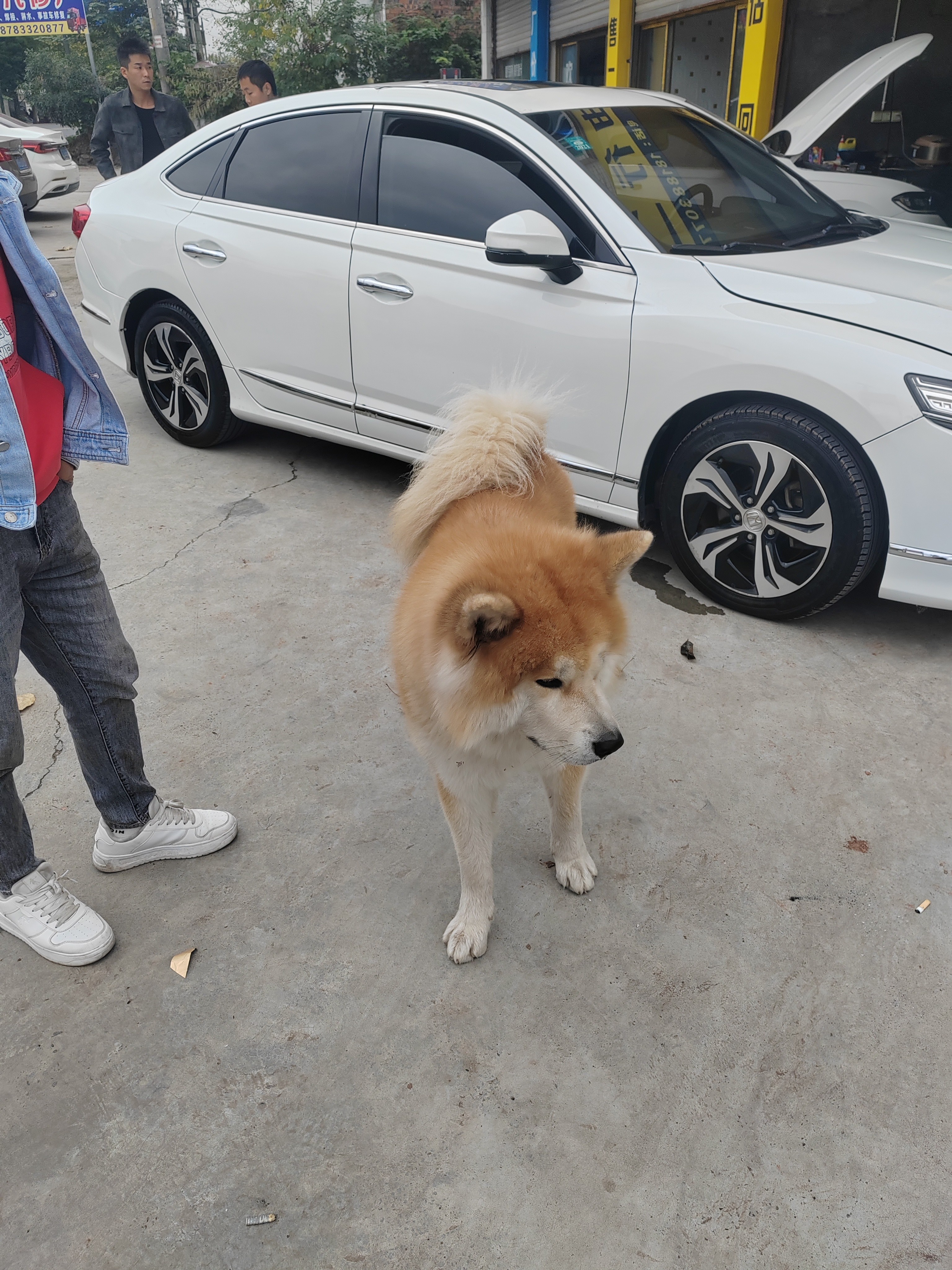 图片附件