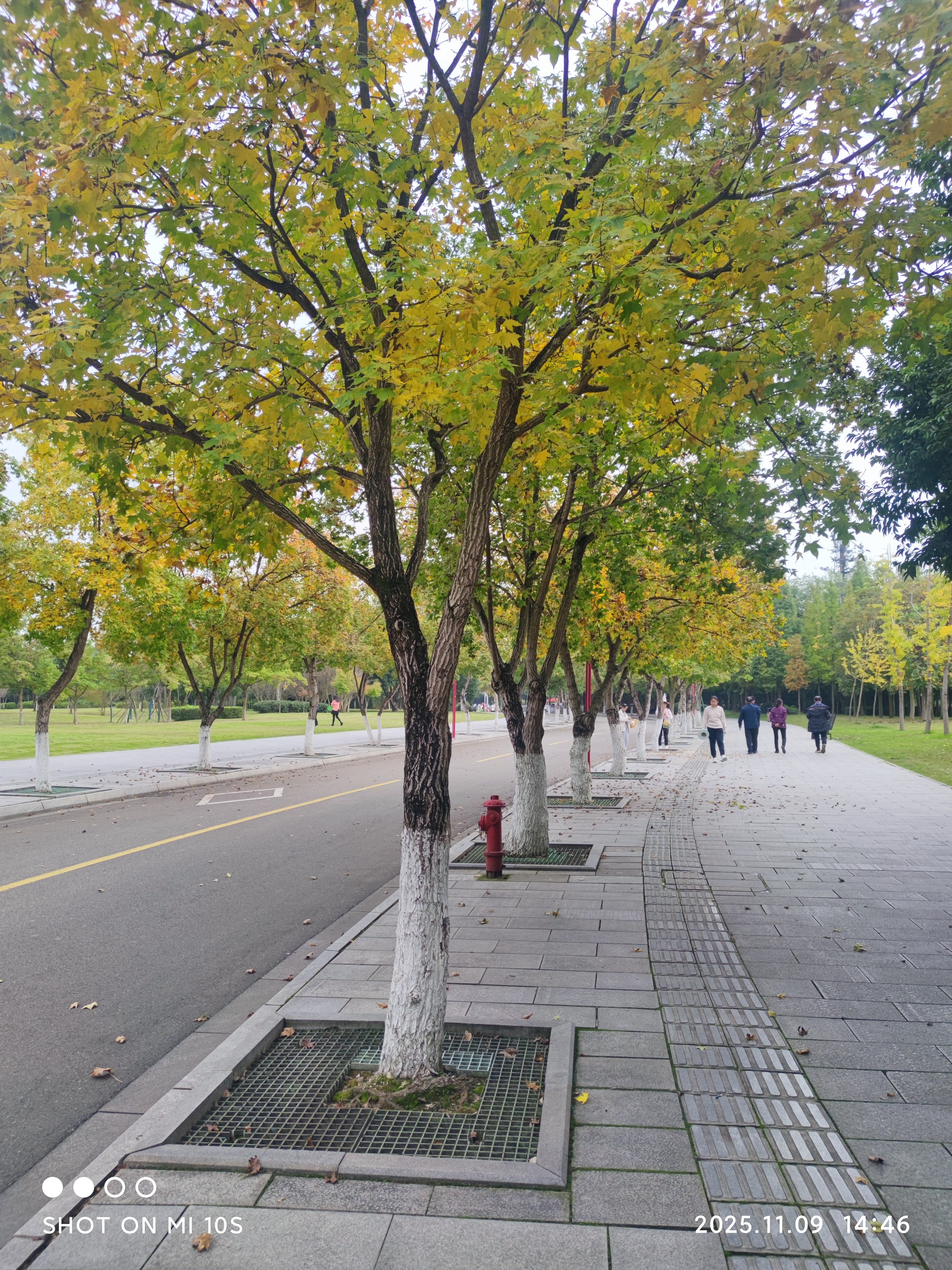 图片附件