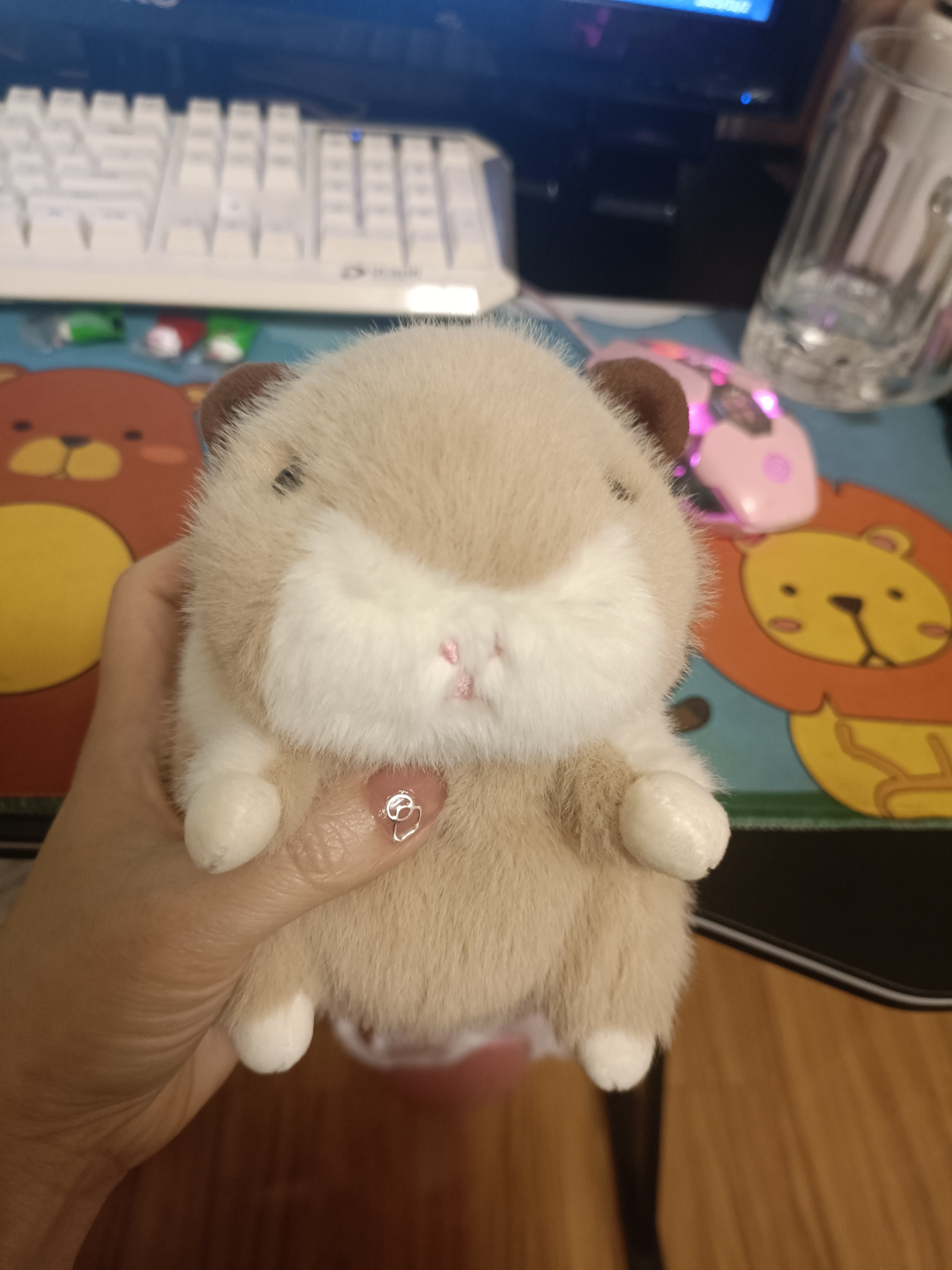图片附件