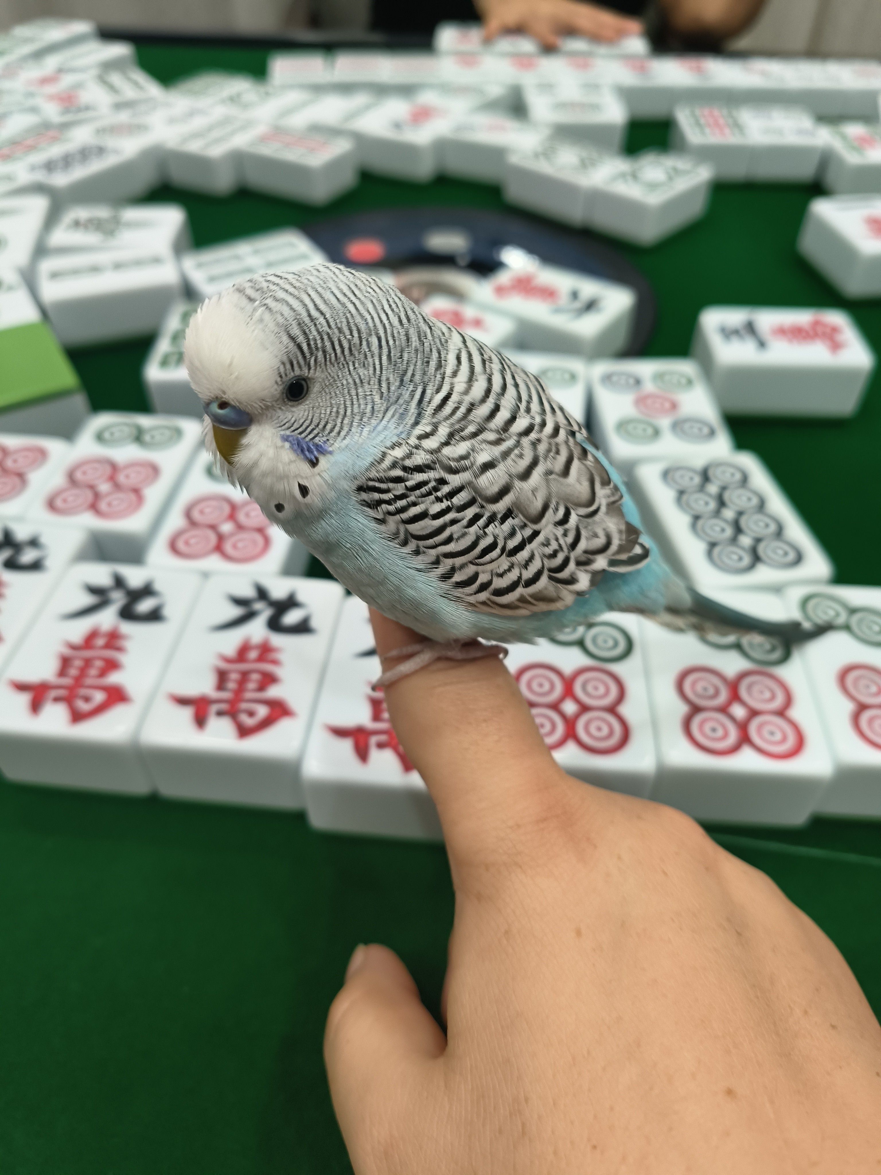 图片附件