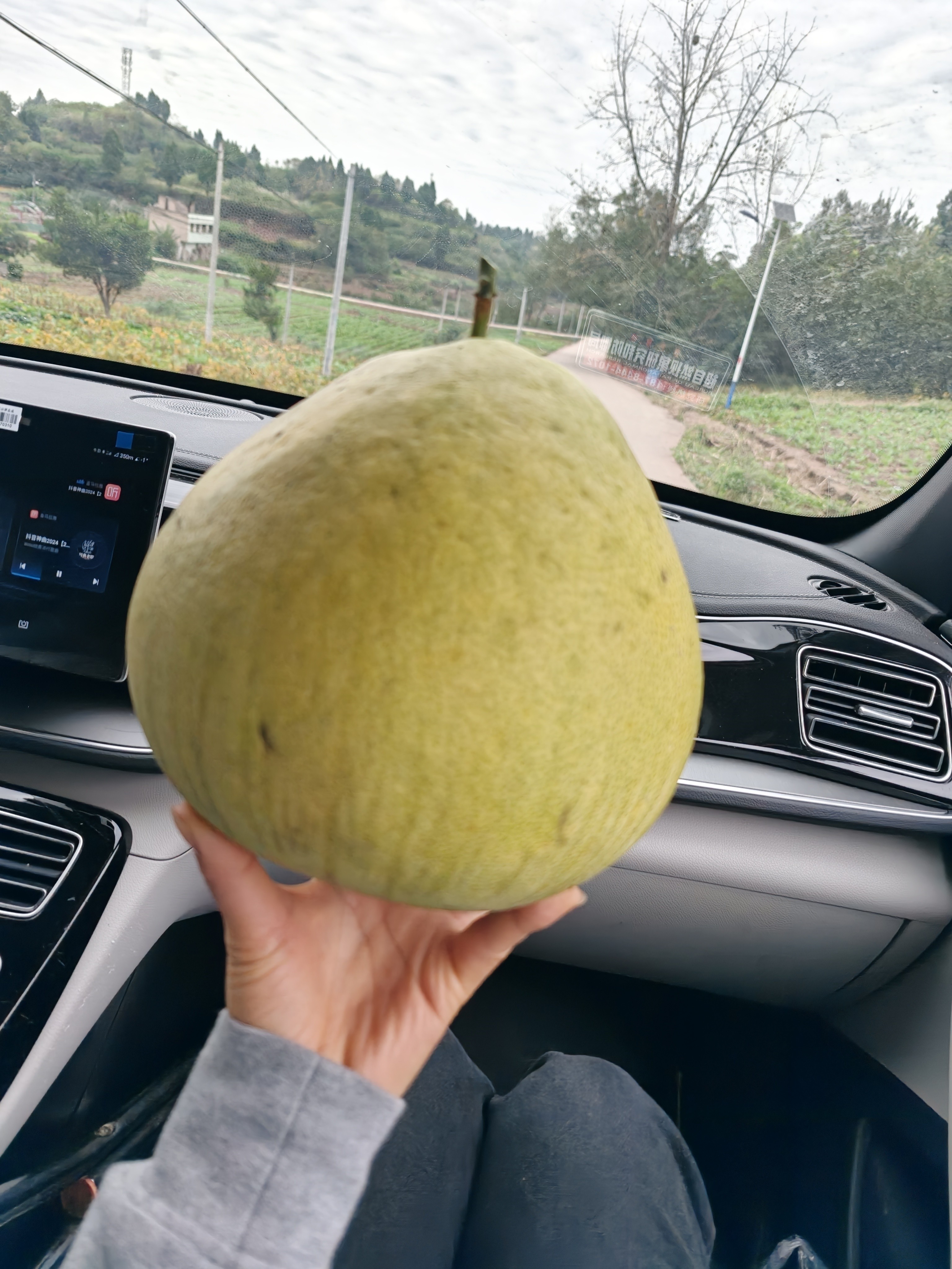 图片附件
