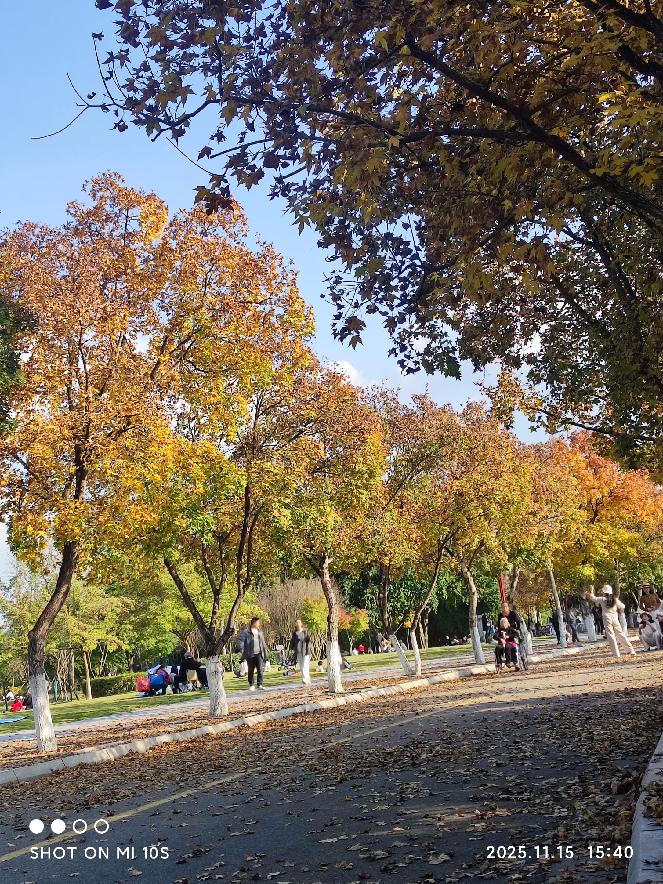 图片附件