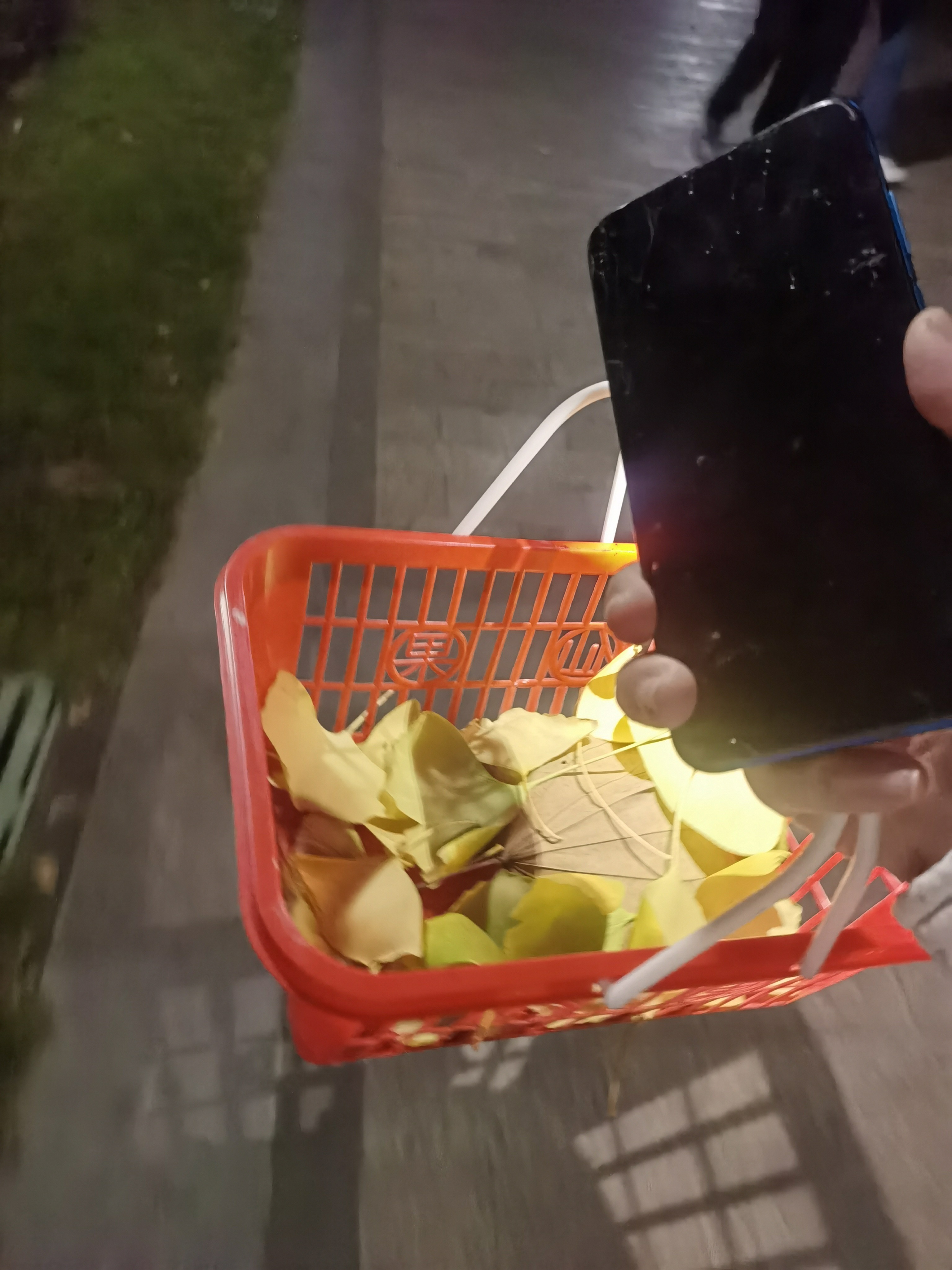 图片附件