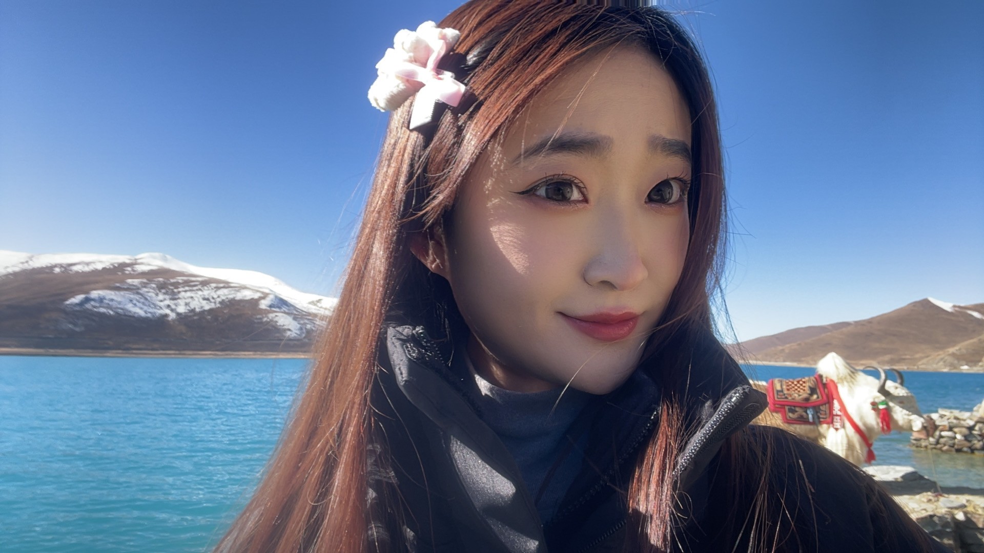 图片附件