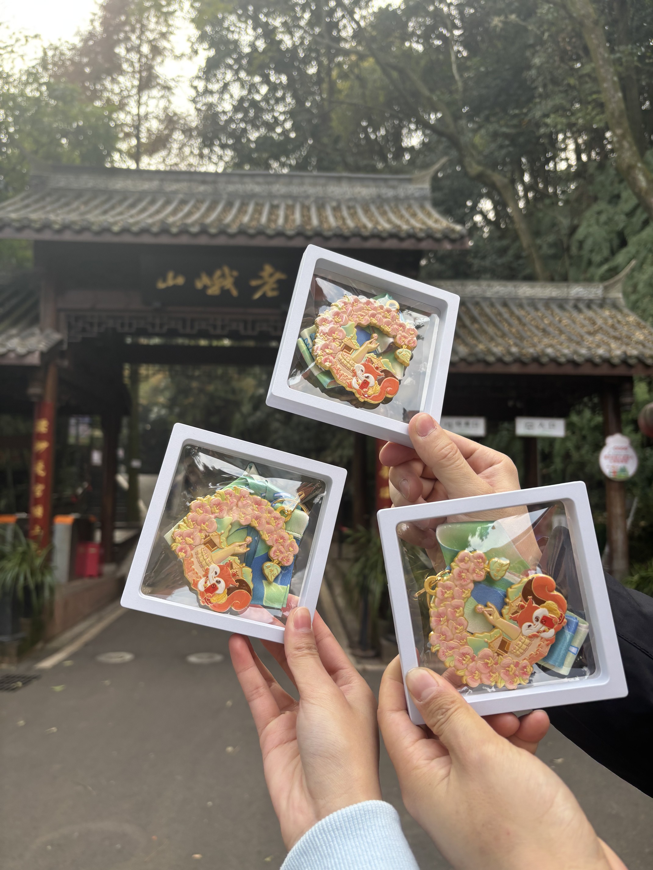 图片附件