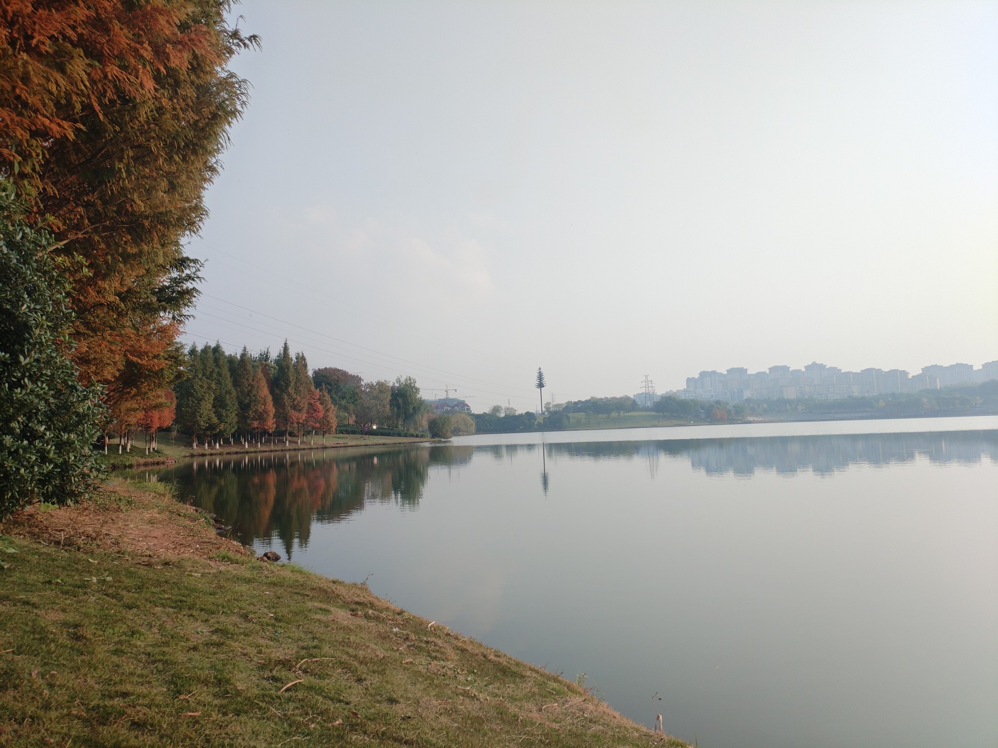 图片附件