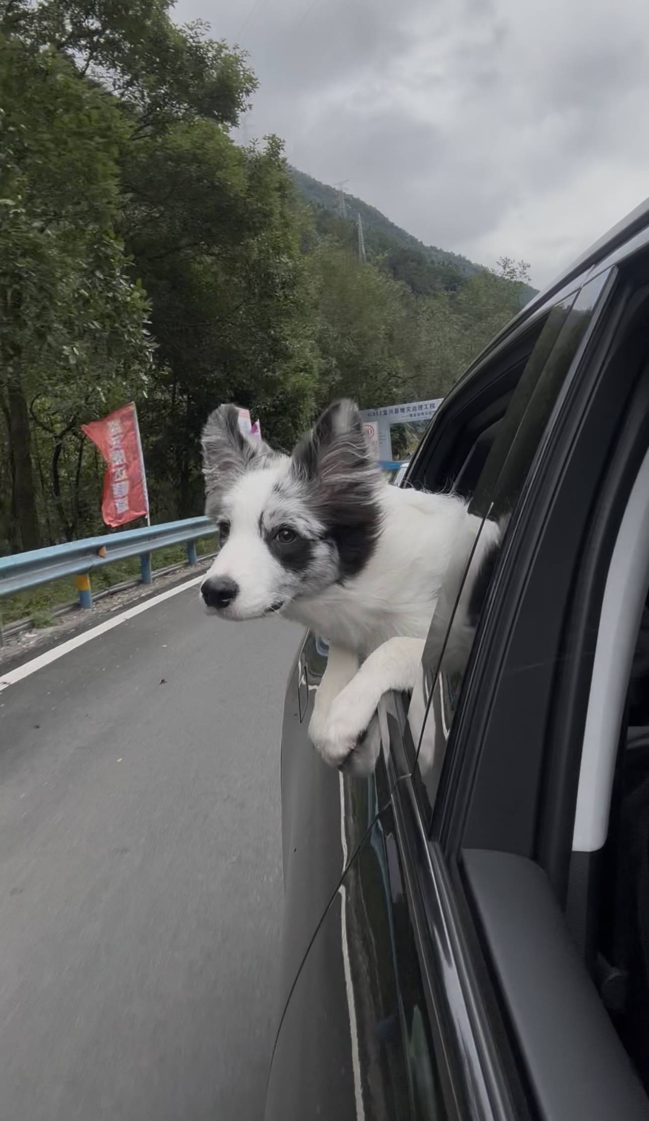 图片附件