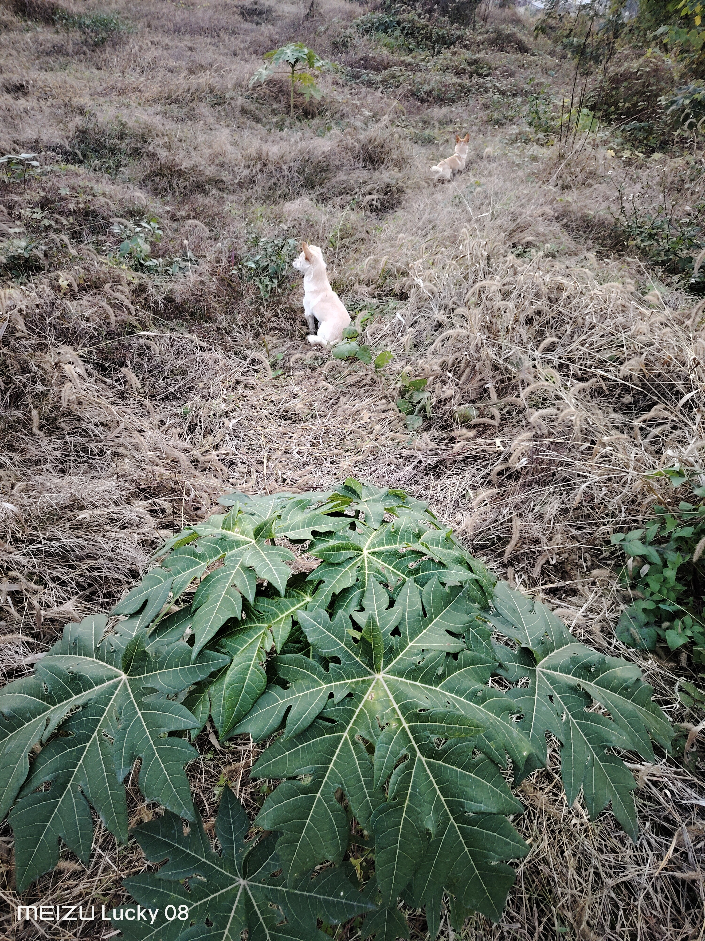 图片附件