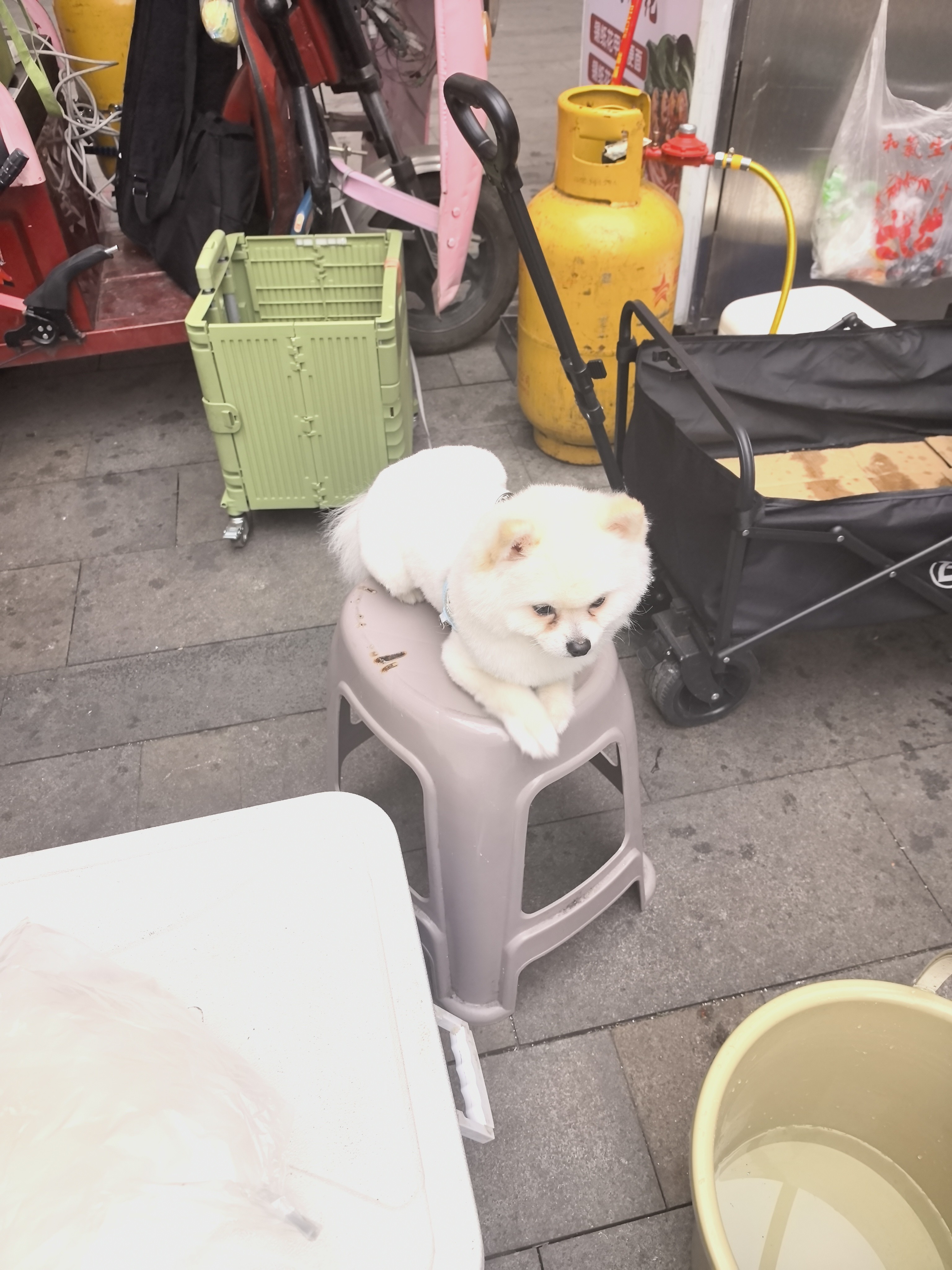 图片附件