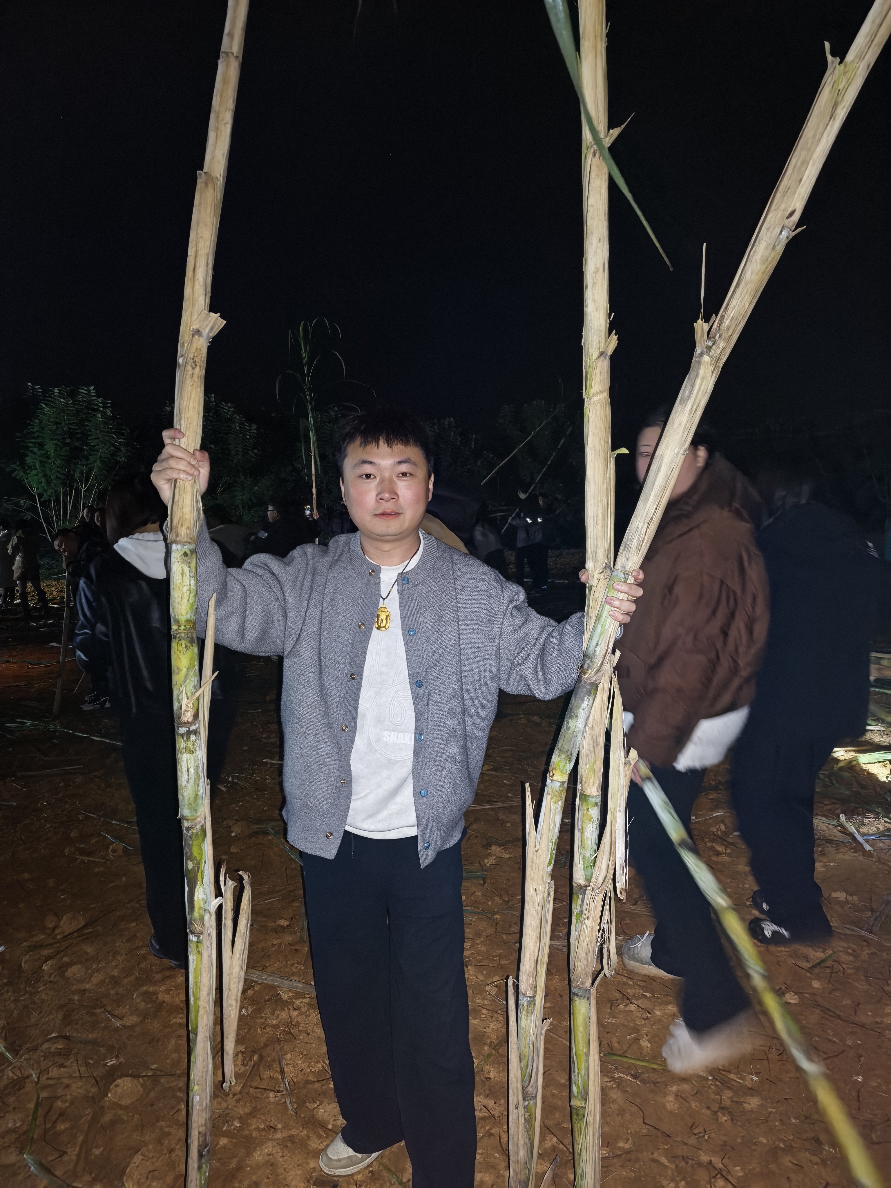 图片附件