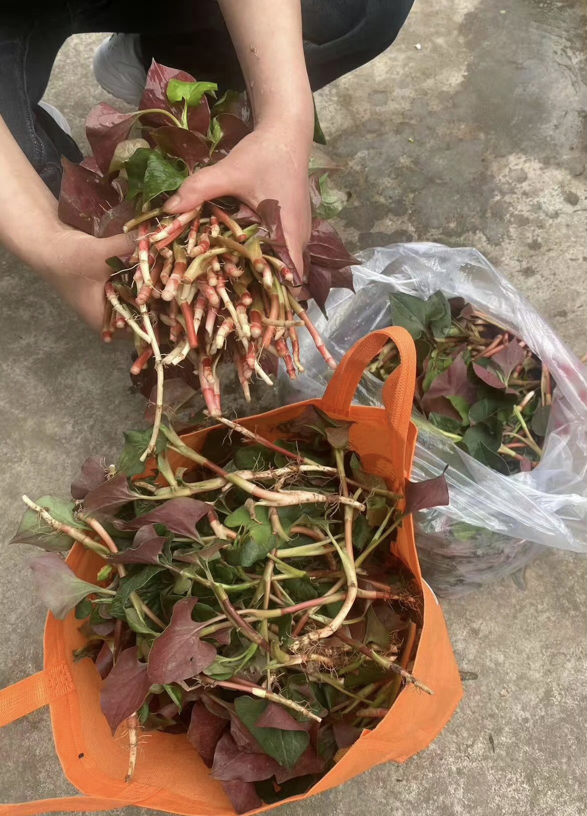图片附件