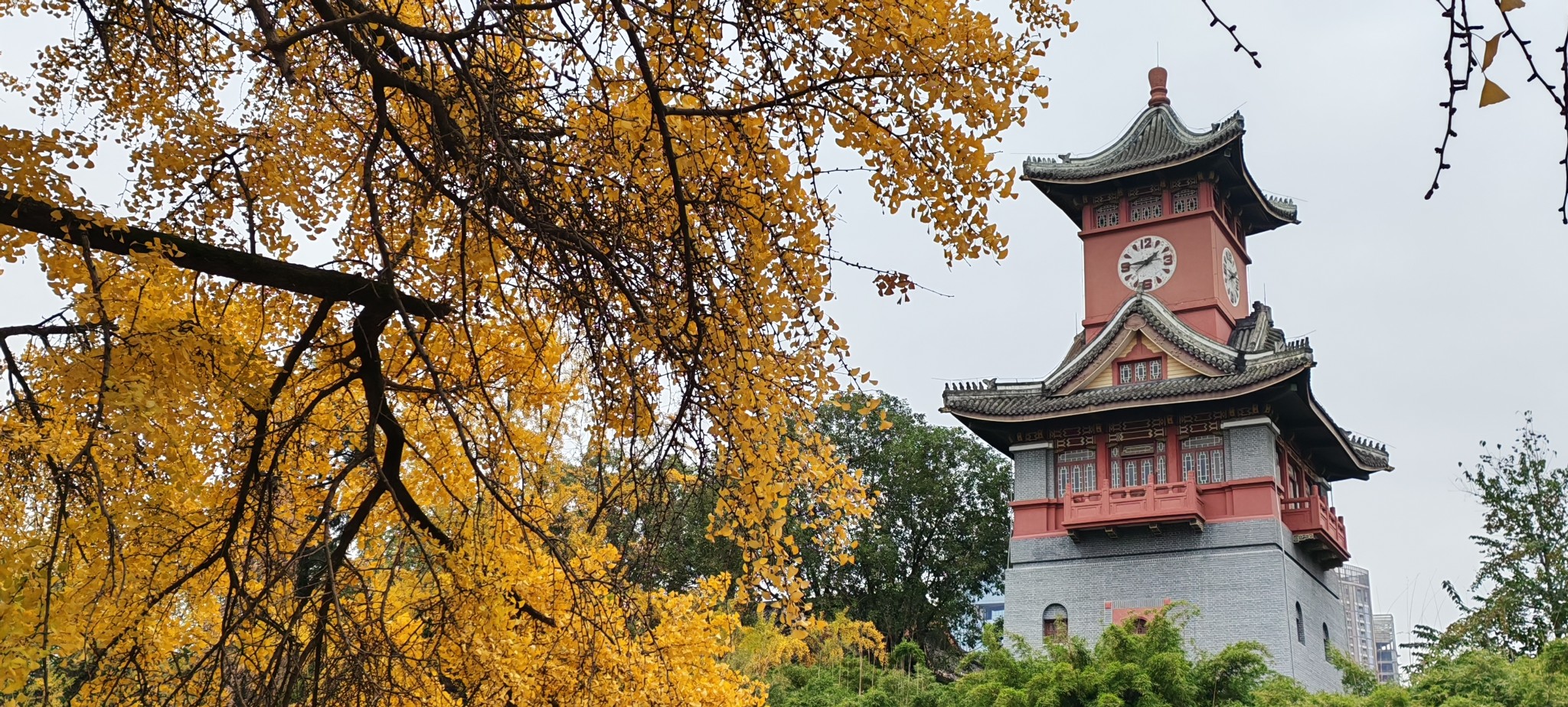 图片附件