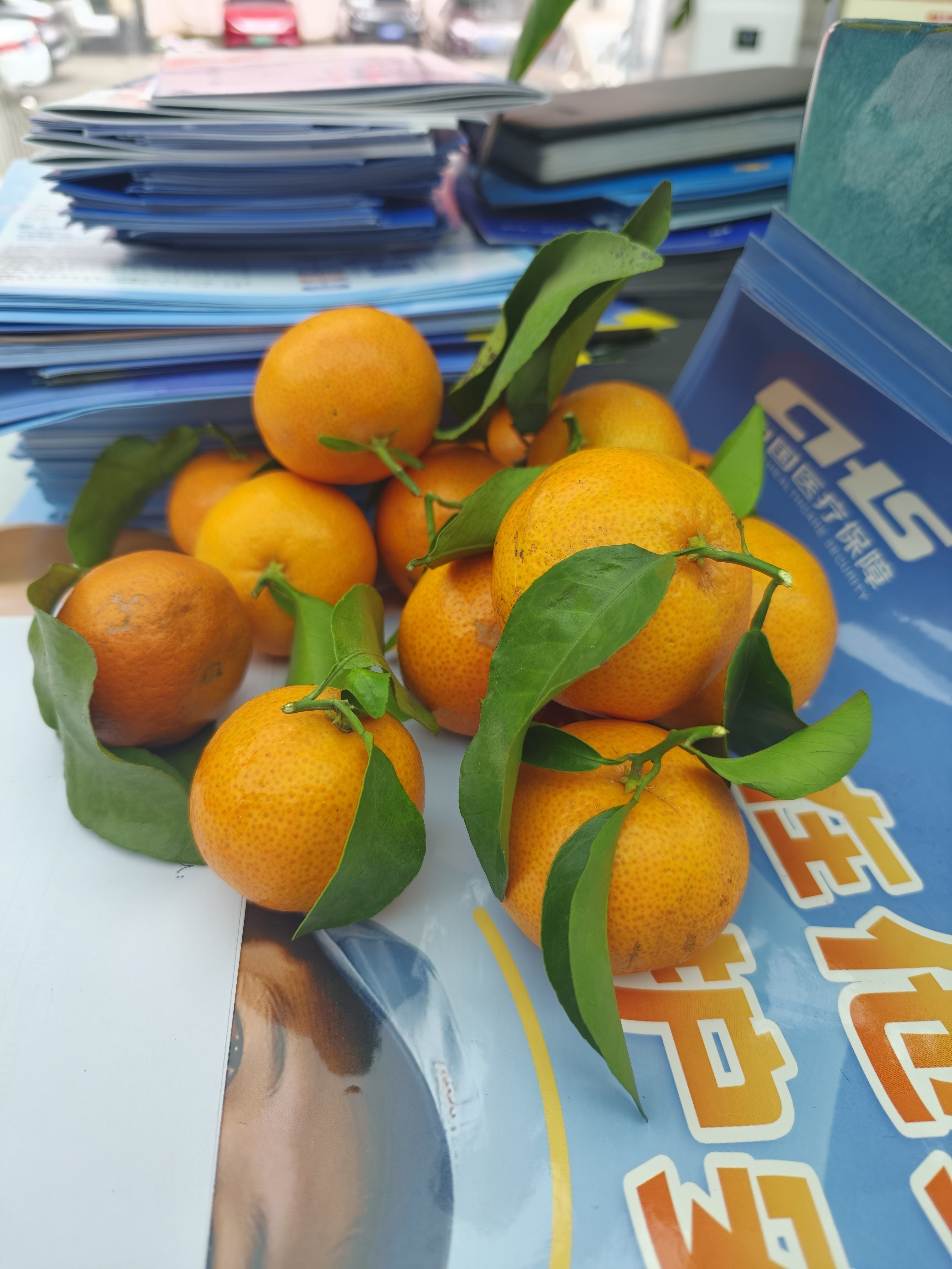 图片附件