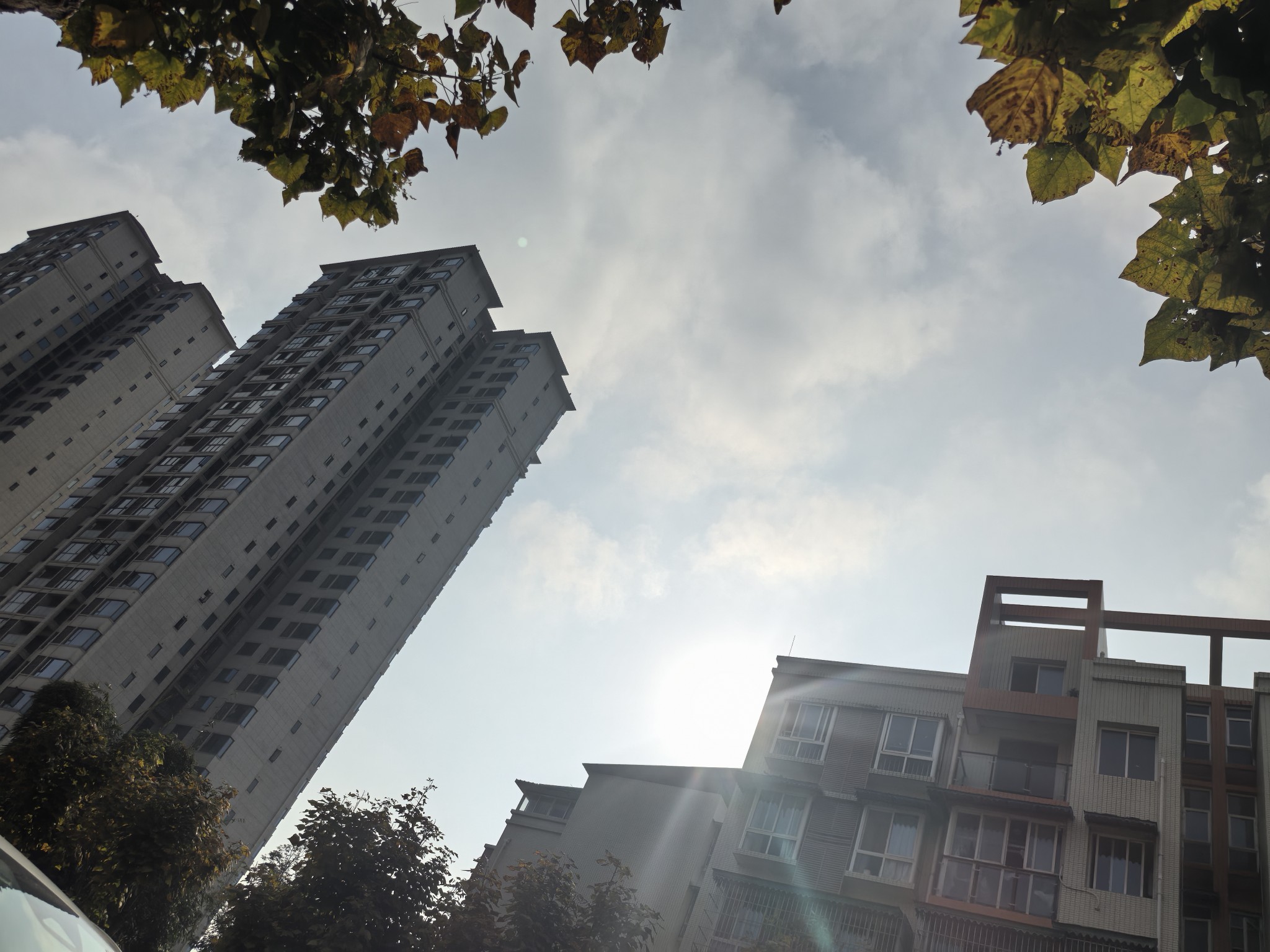 图片附件