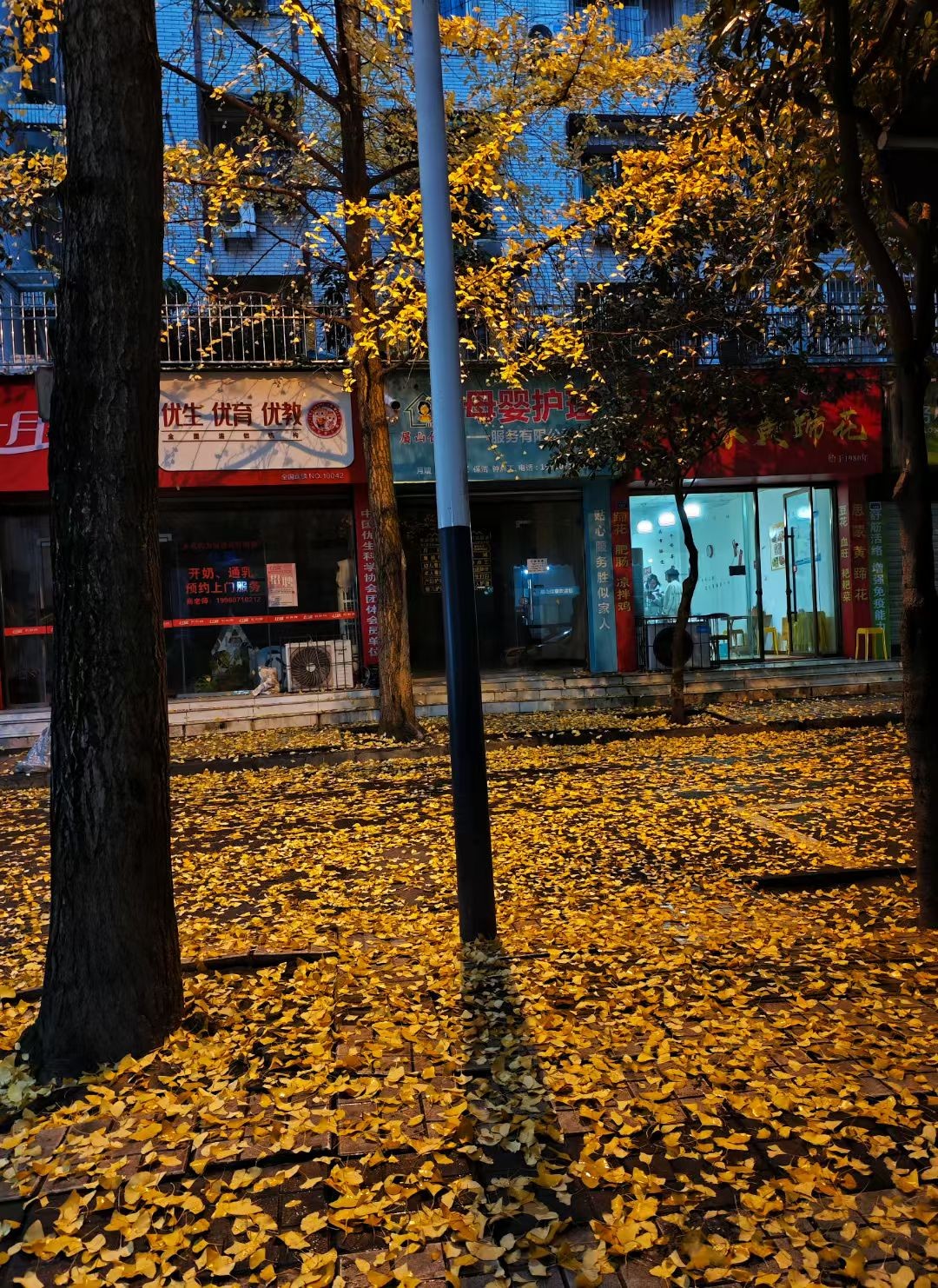 图片附件