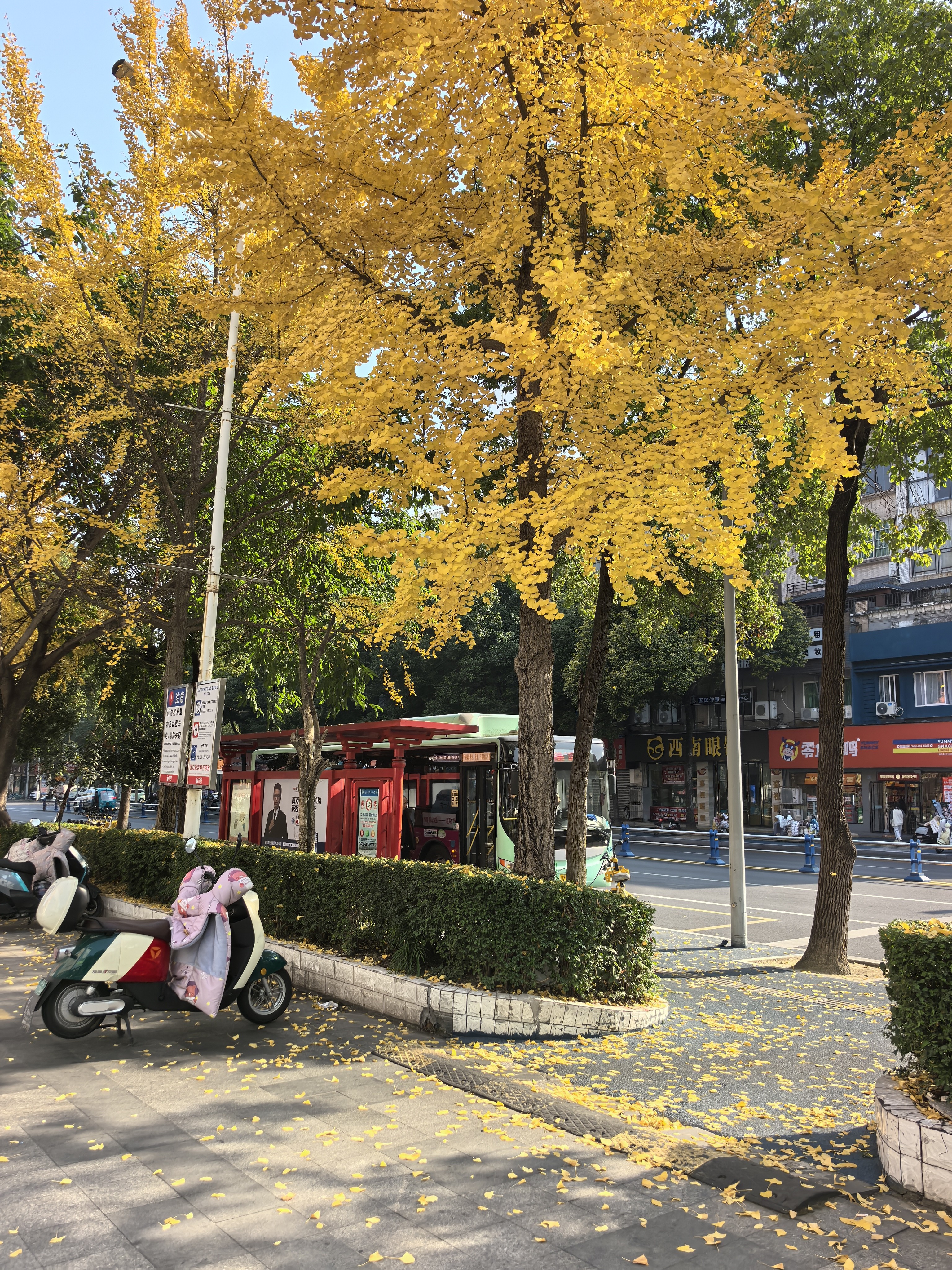 图片附件
