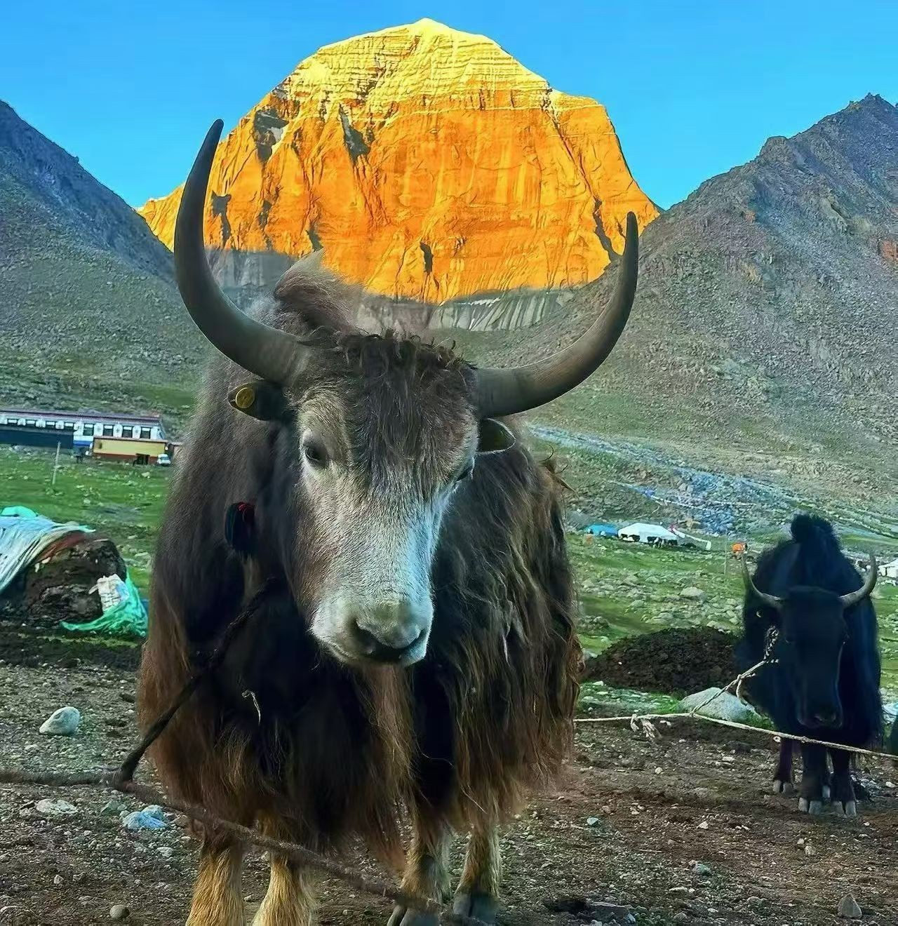 图片附件