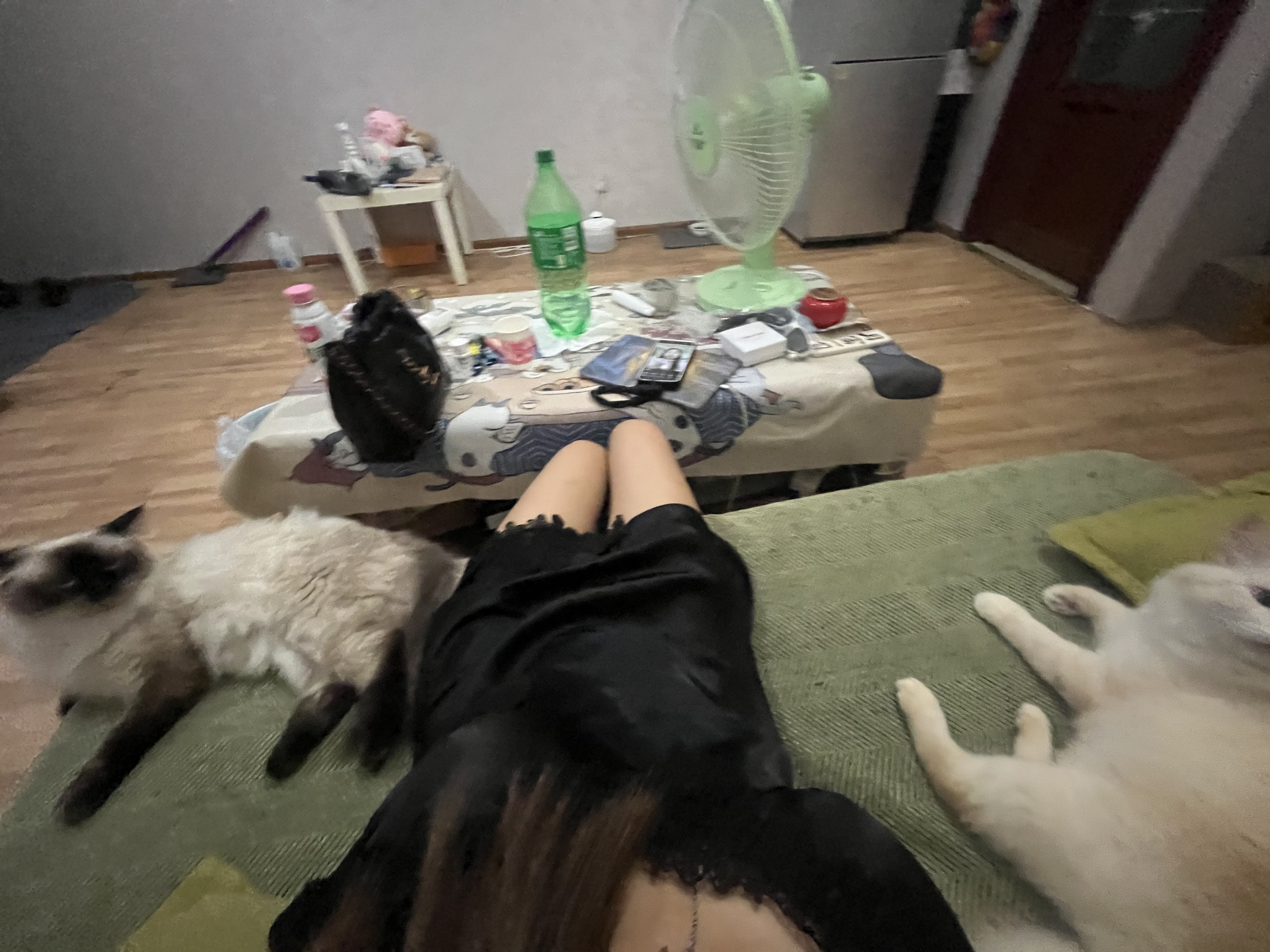 图片附件