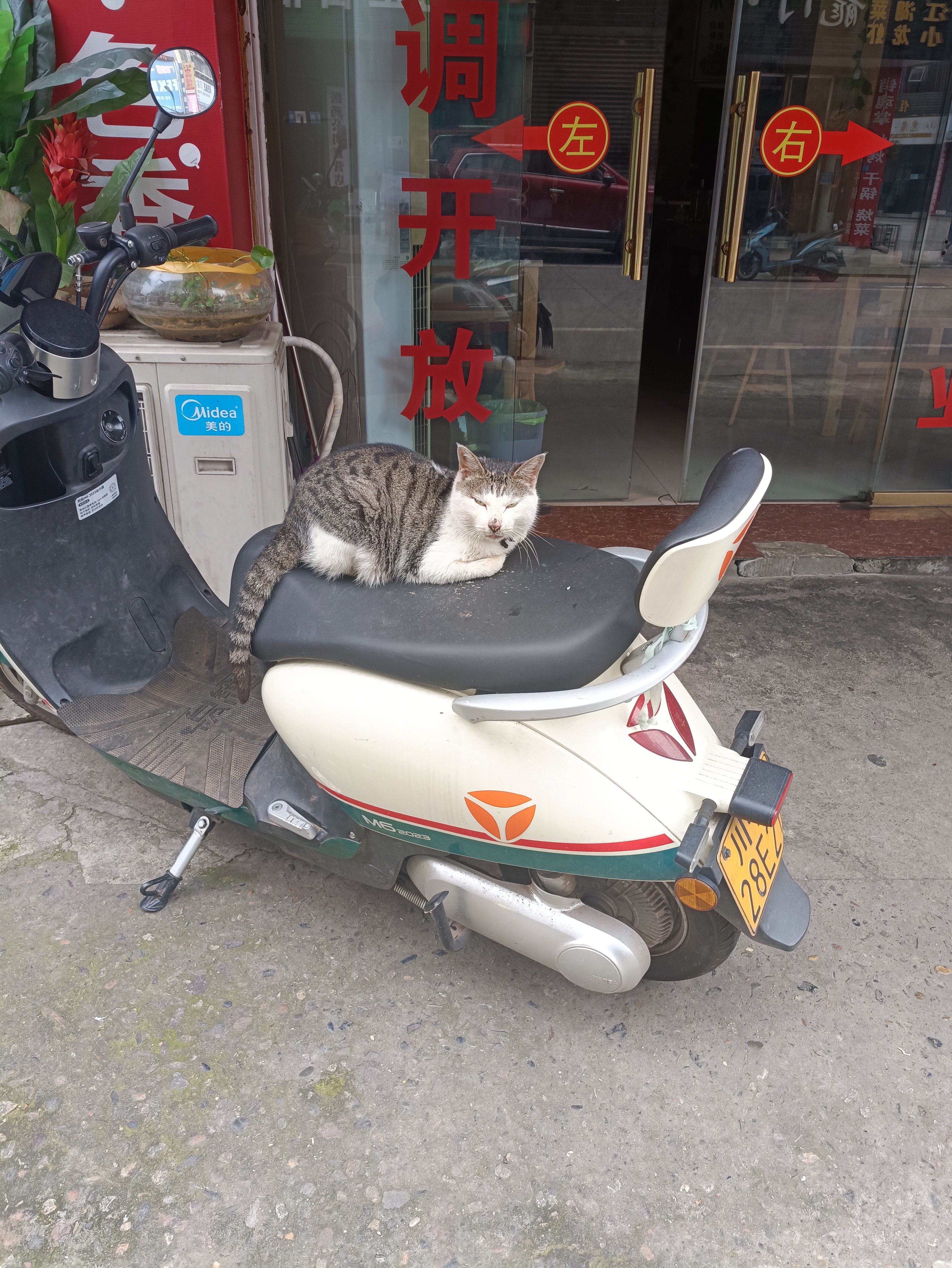 图片附件