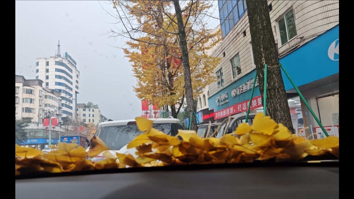 图片附件