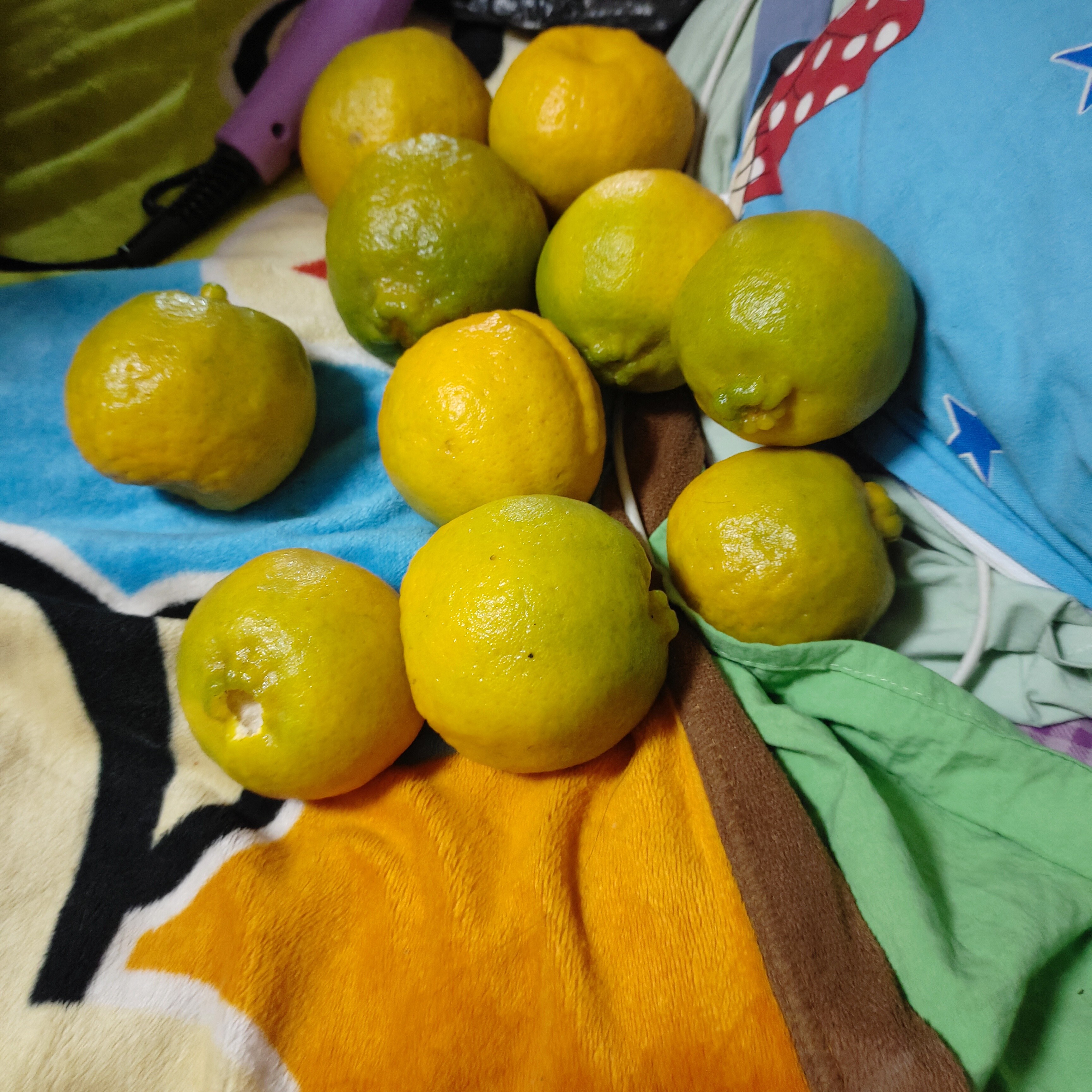 图片附件