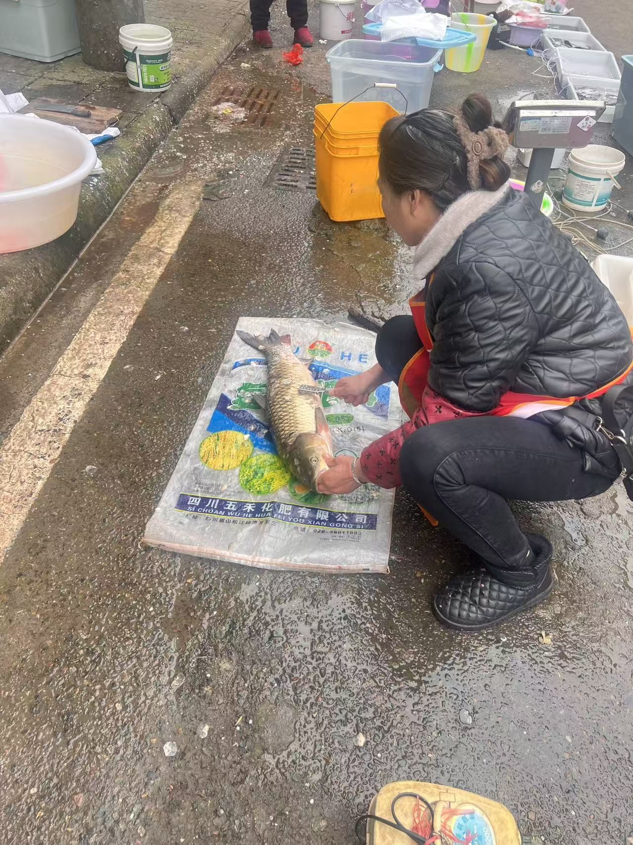 图片附件